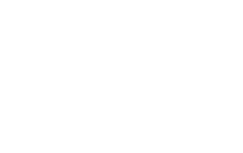 Teer Strategy