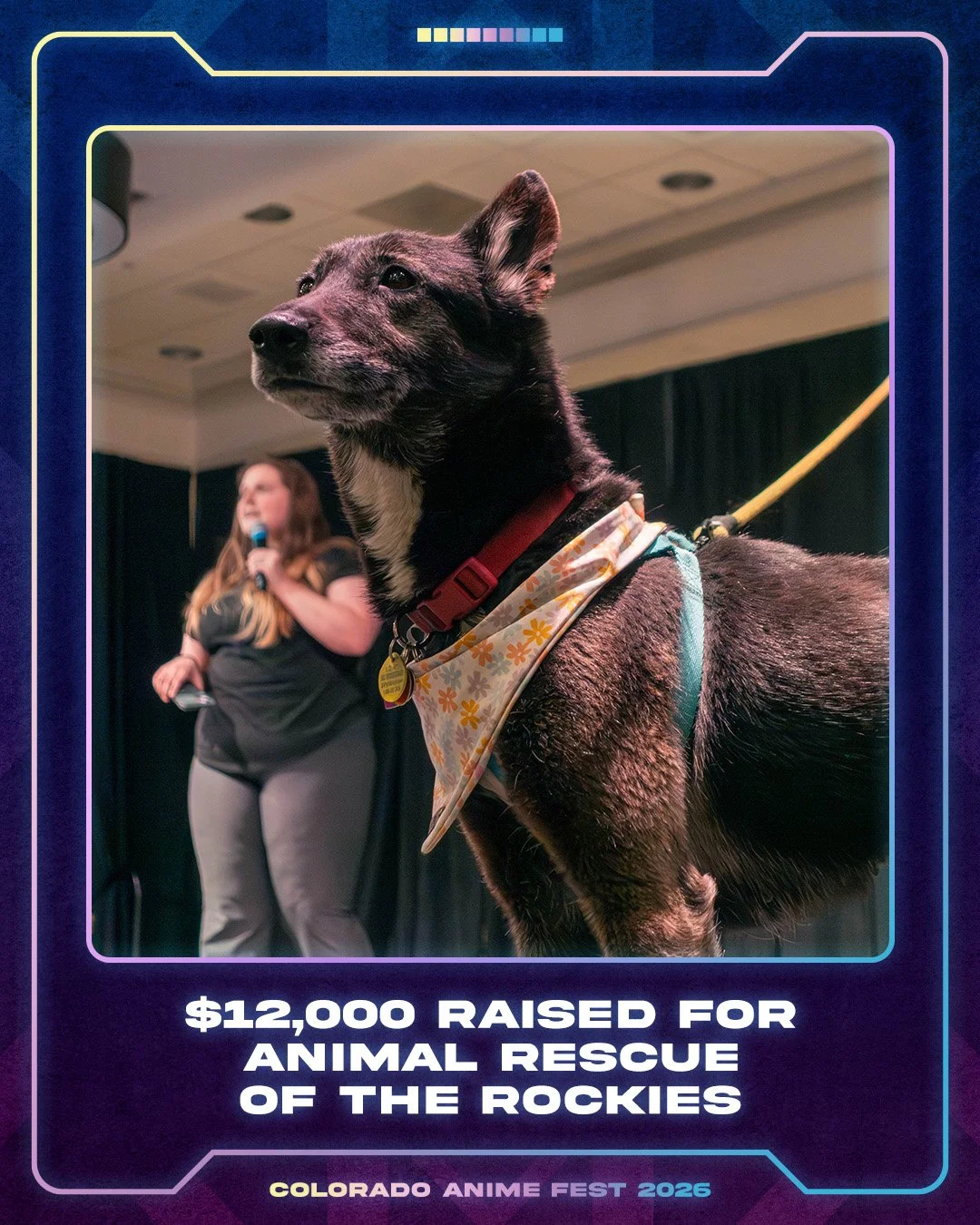 $12,000 raised for Animal Rescue of the Rockies