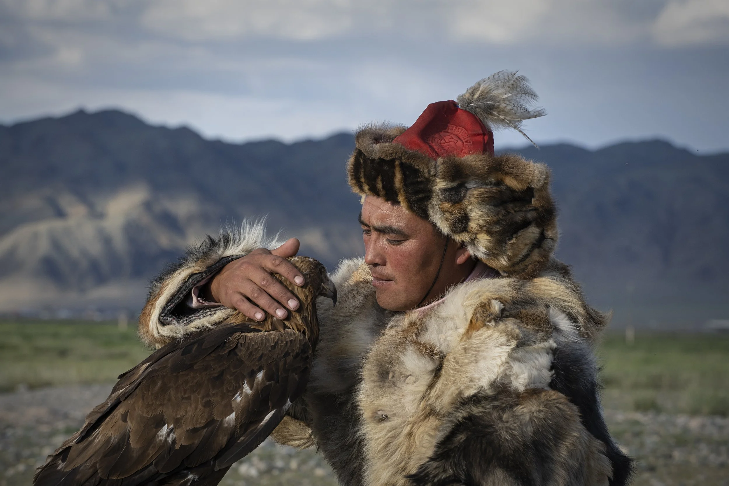 Jenisbek pet eagle6296 copy.jpg