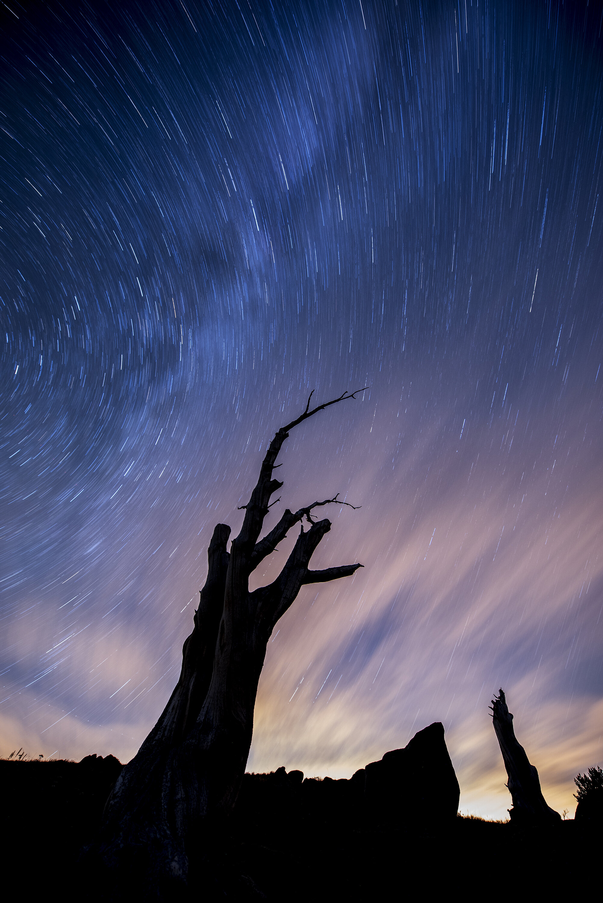 Star Trails Evans.jpg