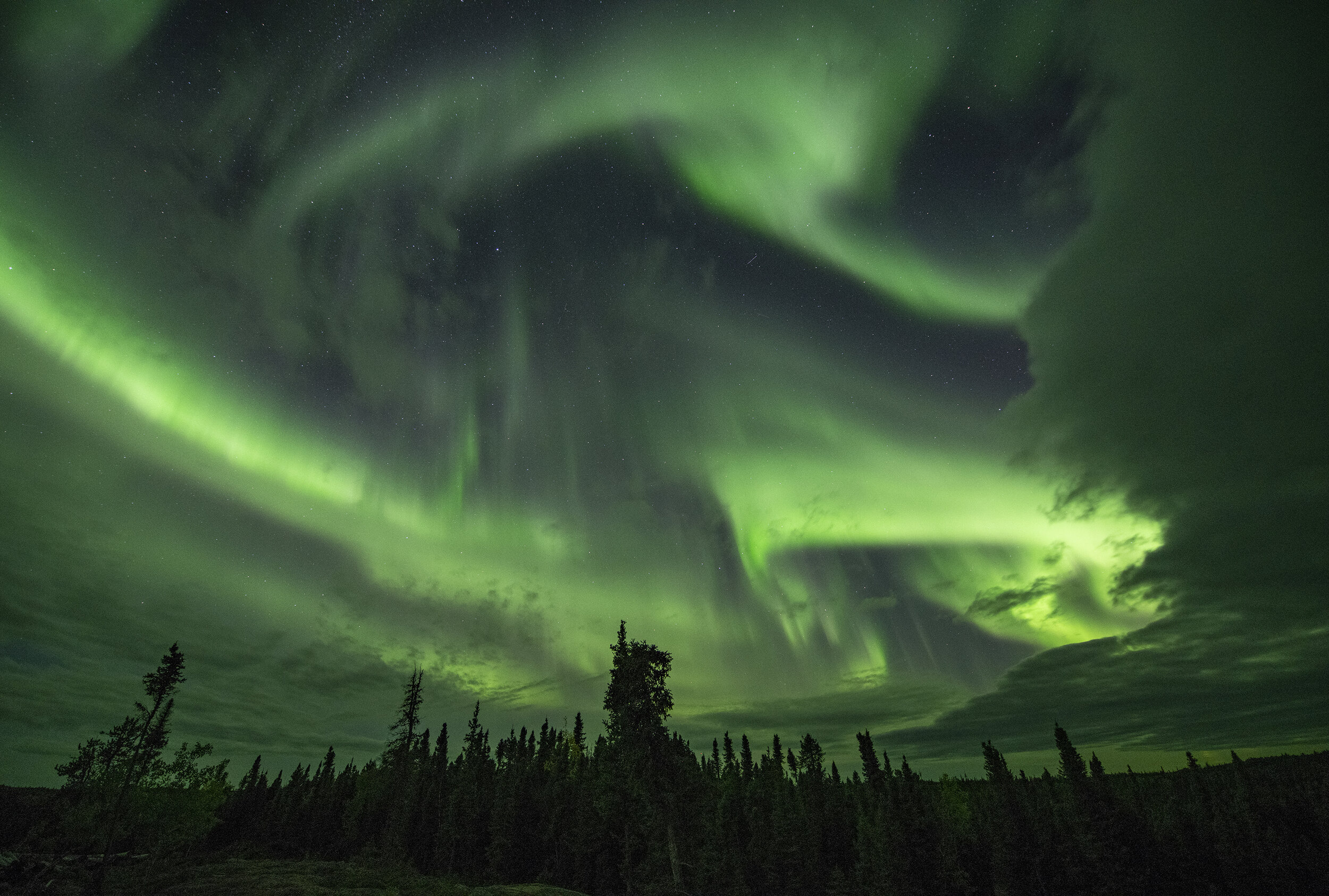 Blachford night two open sky.jpg