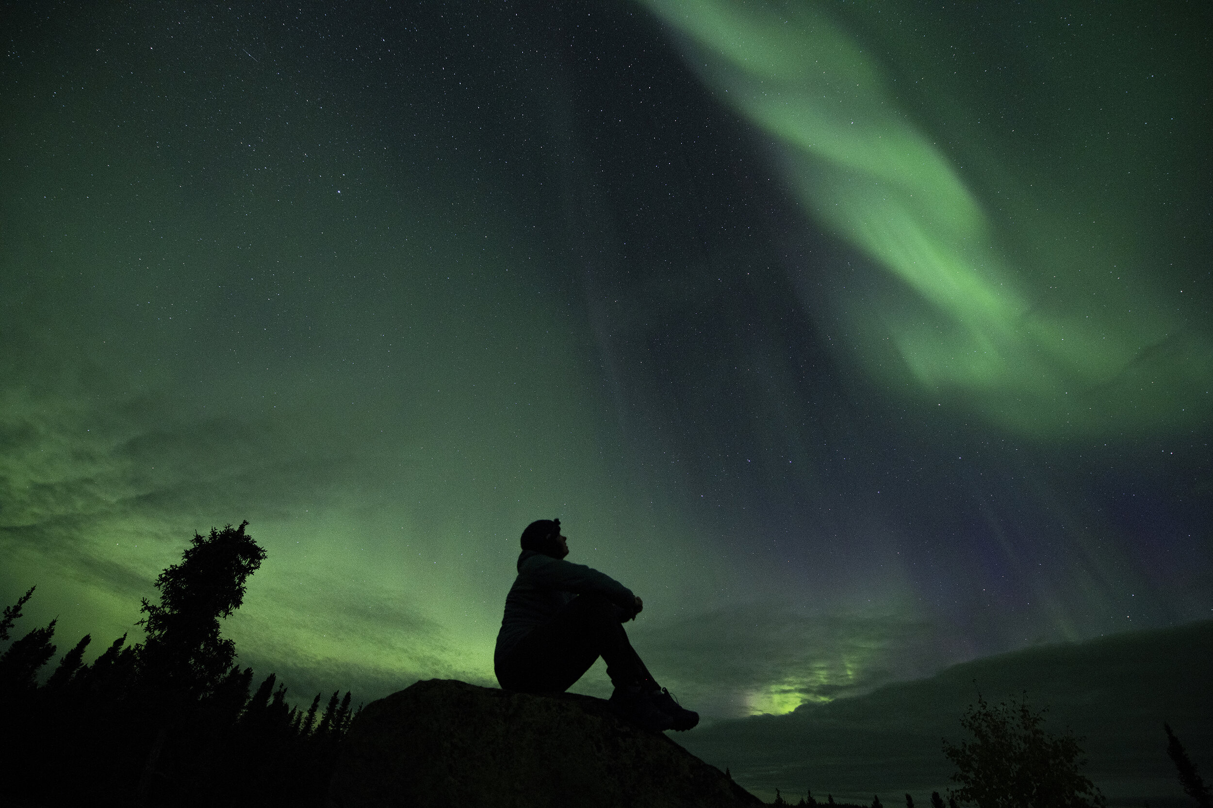 Aurora self silhouette.jpg