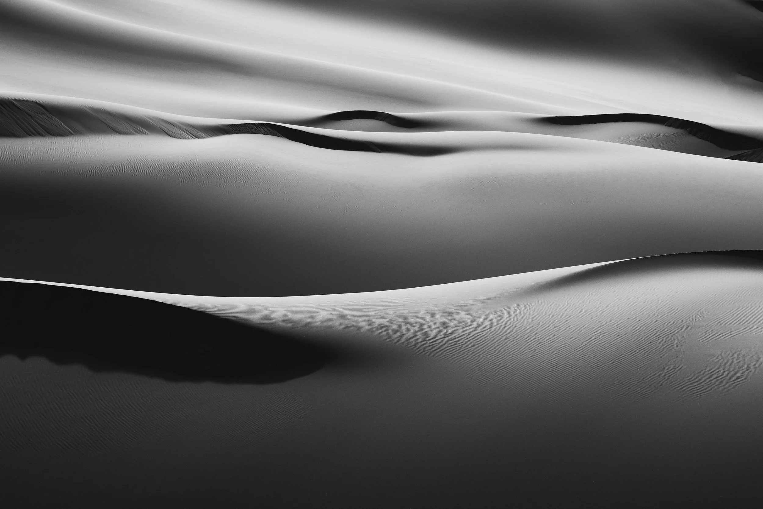 Khongoryn Els dunes silky BW9842.jpg