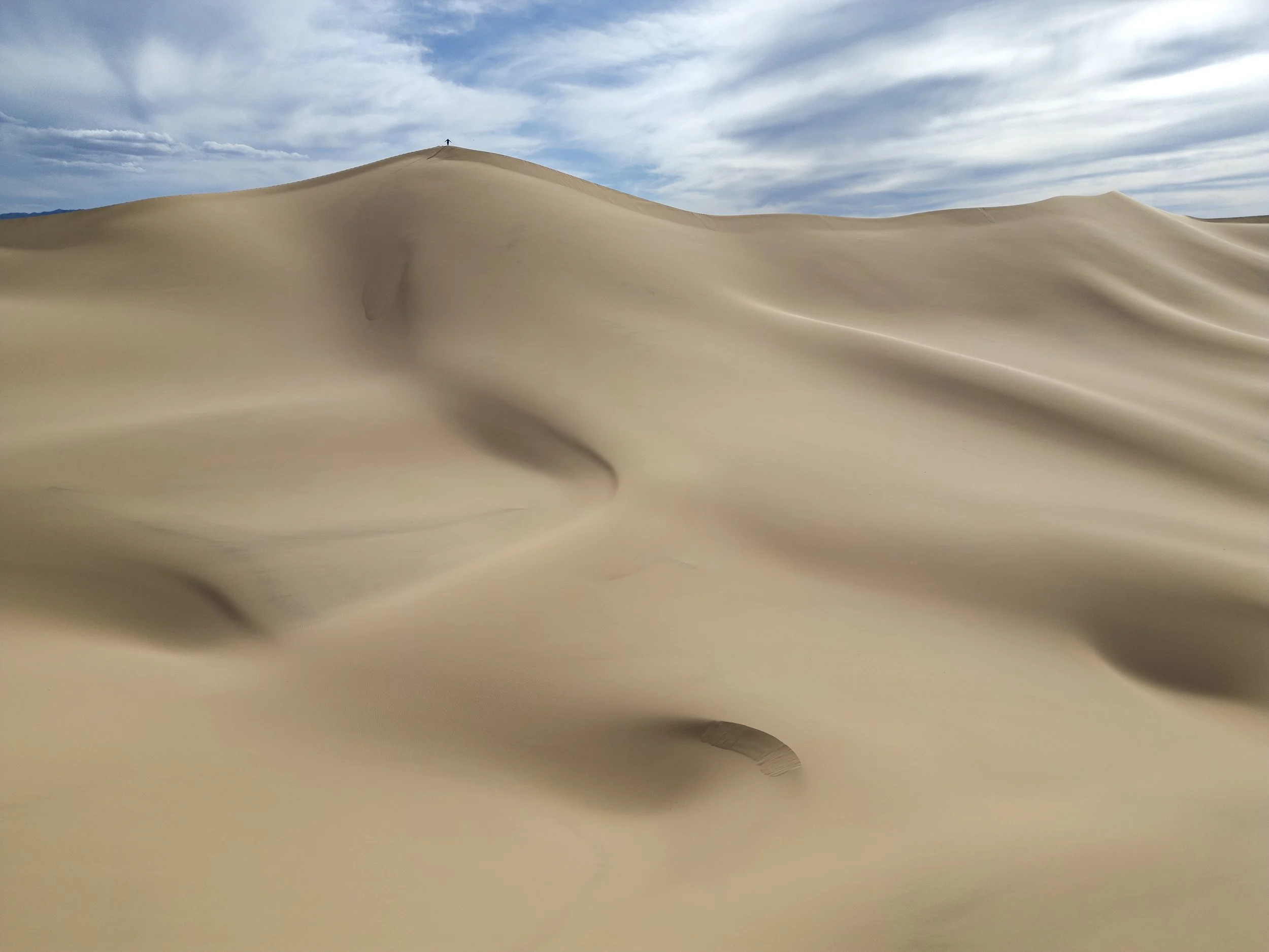 Dunes drone buttery field 0399.jpg