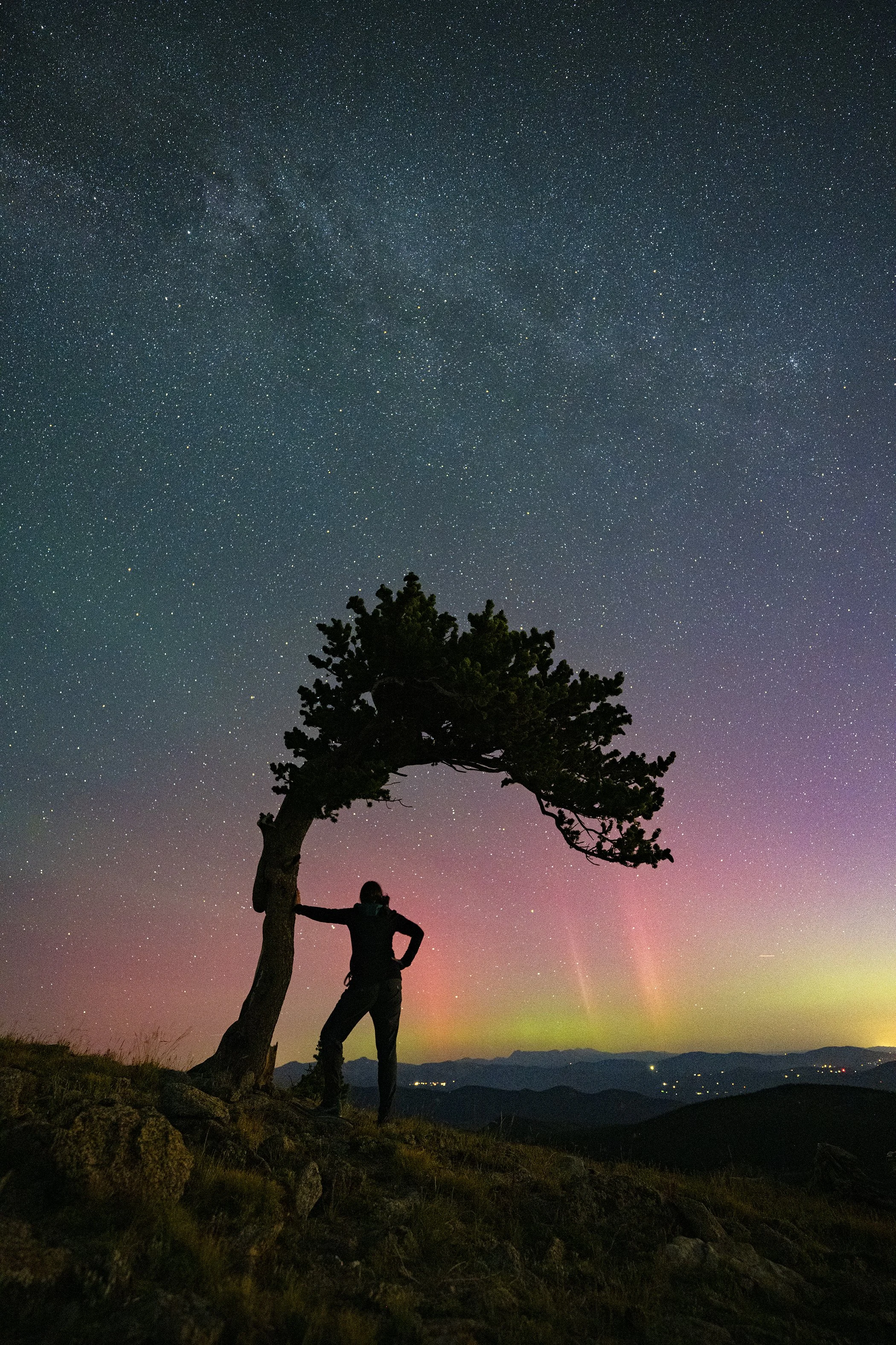 Evans Aurora me0673.jpg