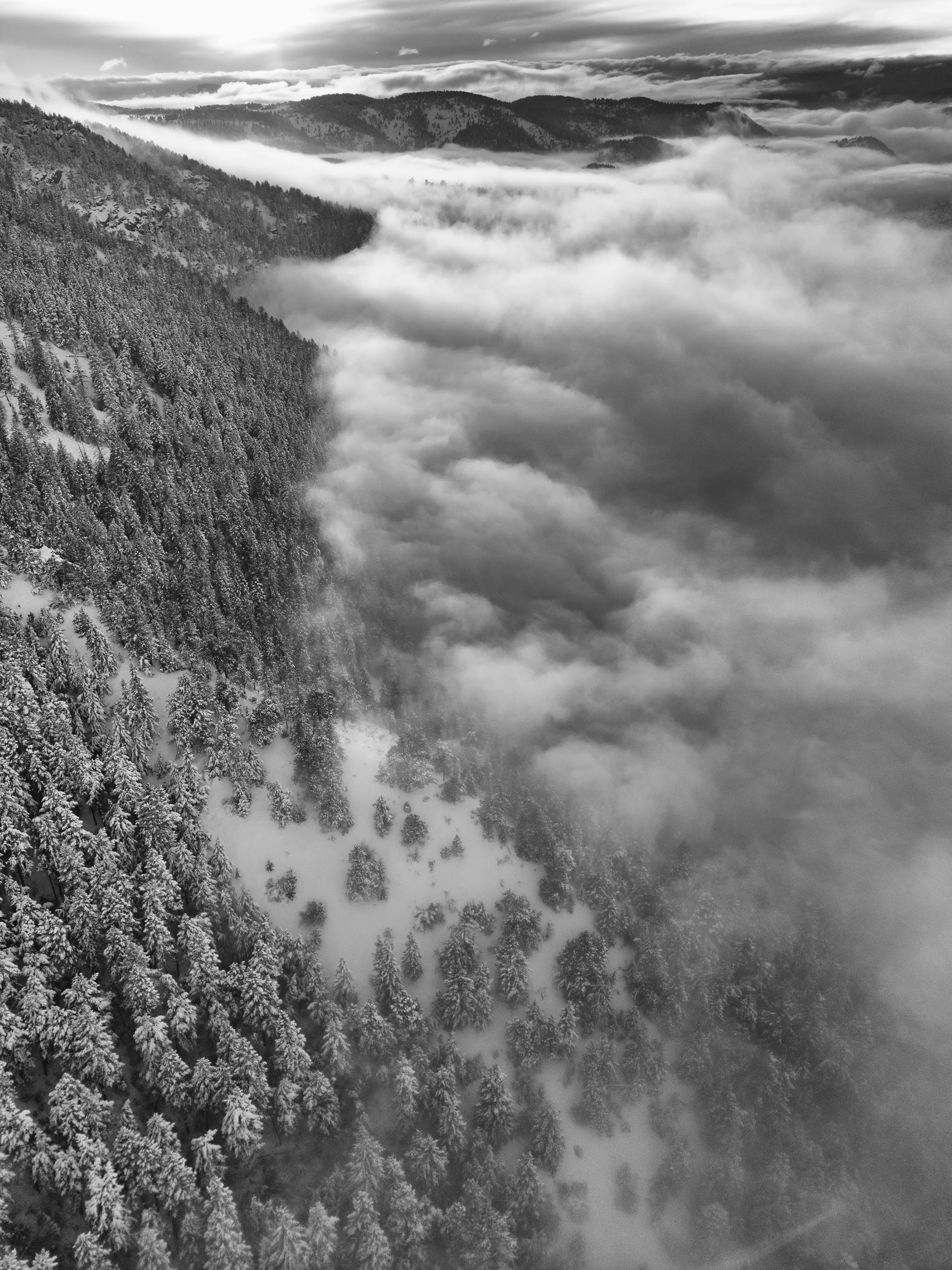 Lookout mtn fog trees BW0618.jpg
