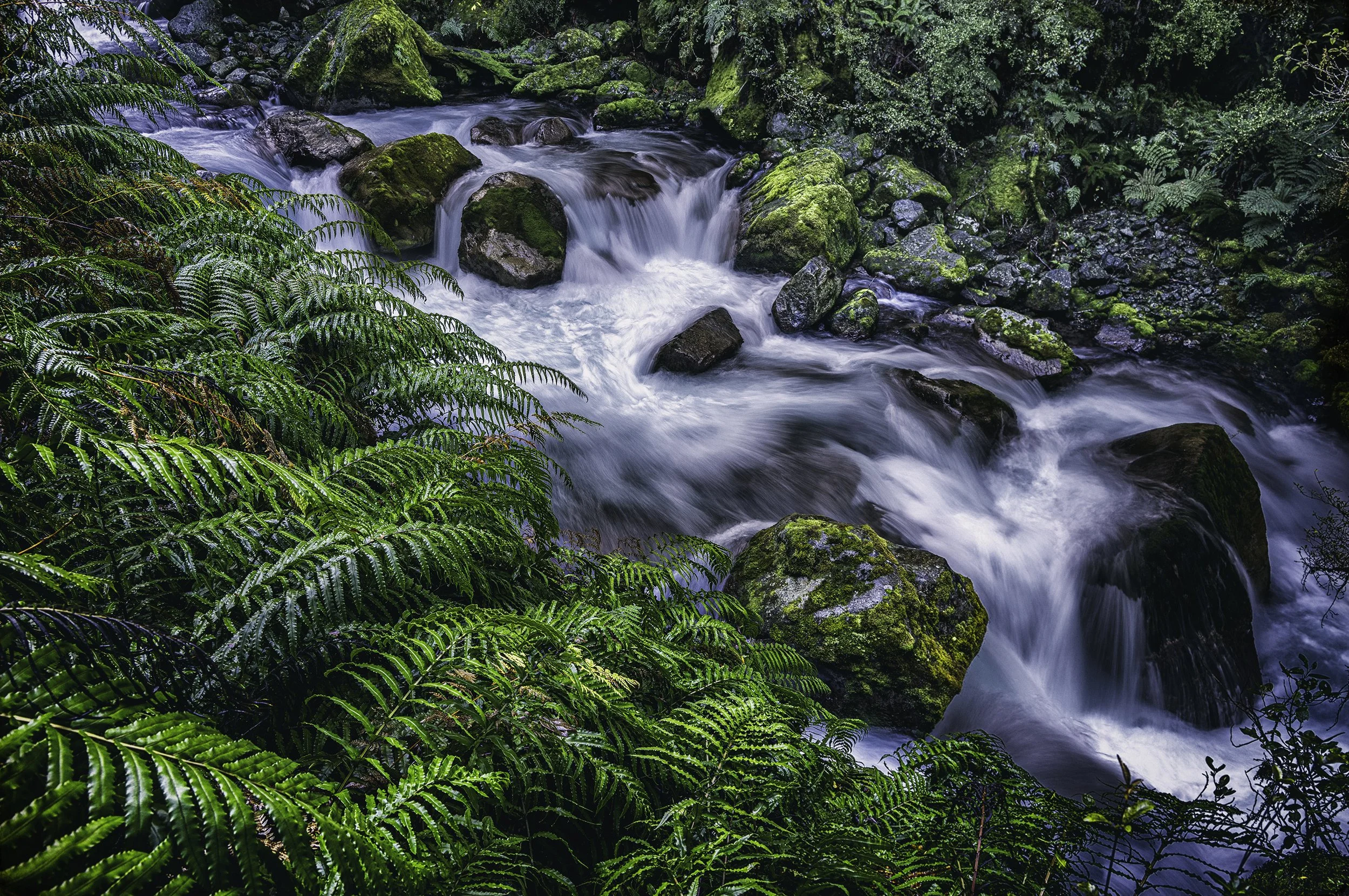 River forest waterfalls6293-HDR-Edit.jpg
