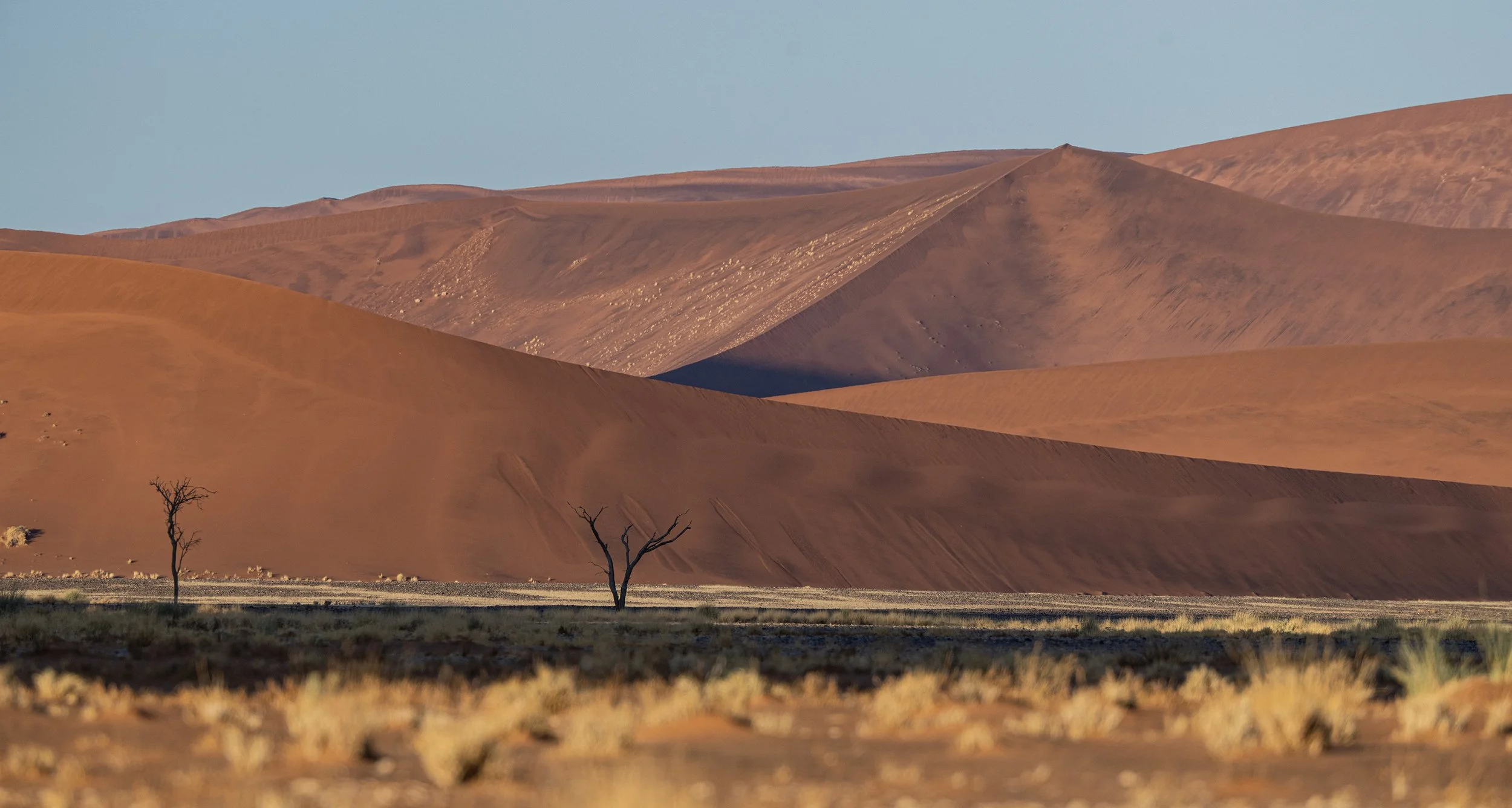 Dune 45 area layers0709.jpg