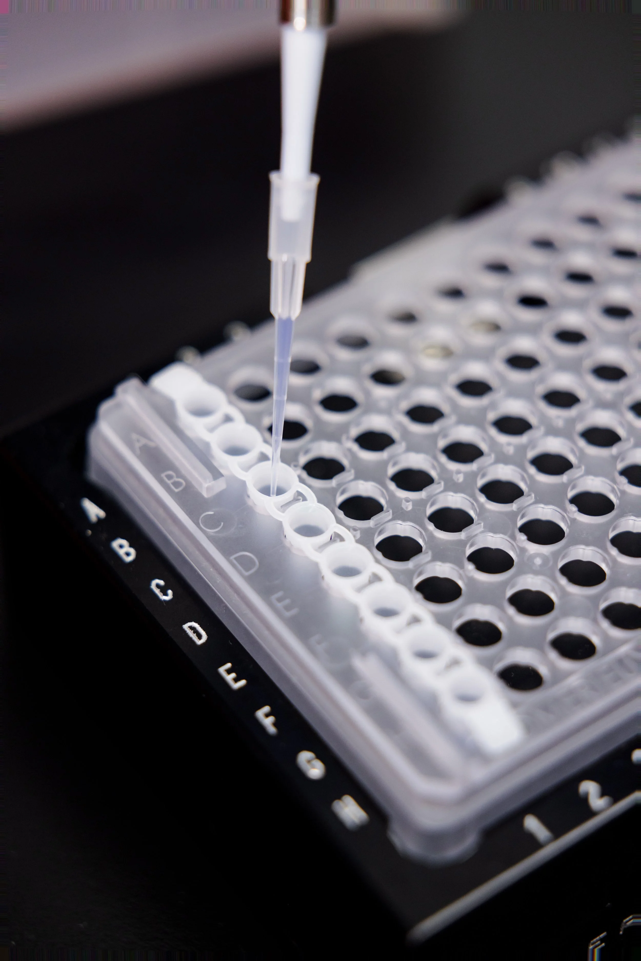 062524 Pathogenia- Nicolas Abou Photographe - 3C9A0914.jpg