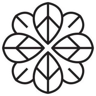 Under the Canopy.jpeg