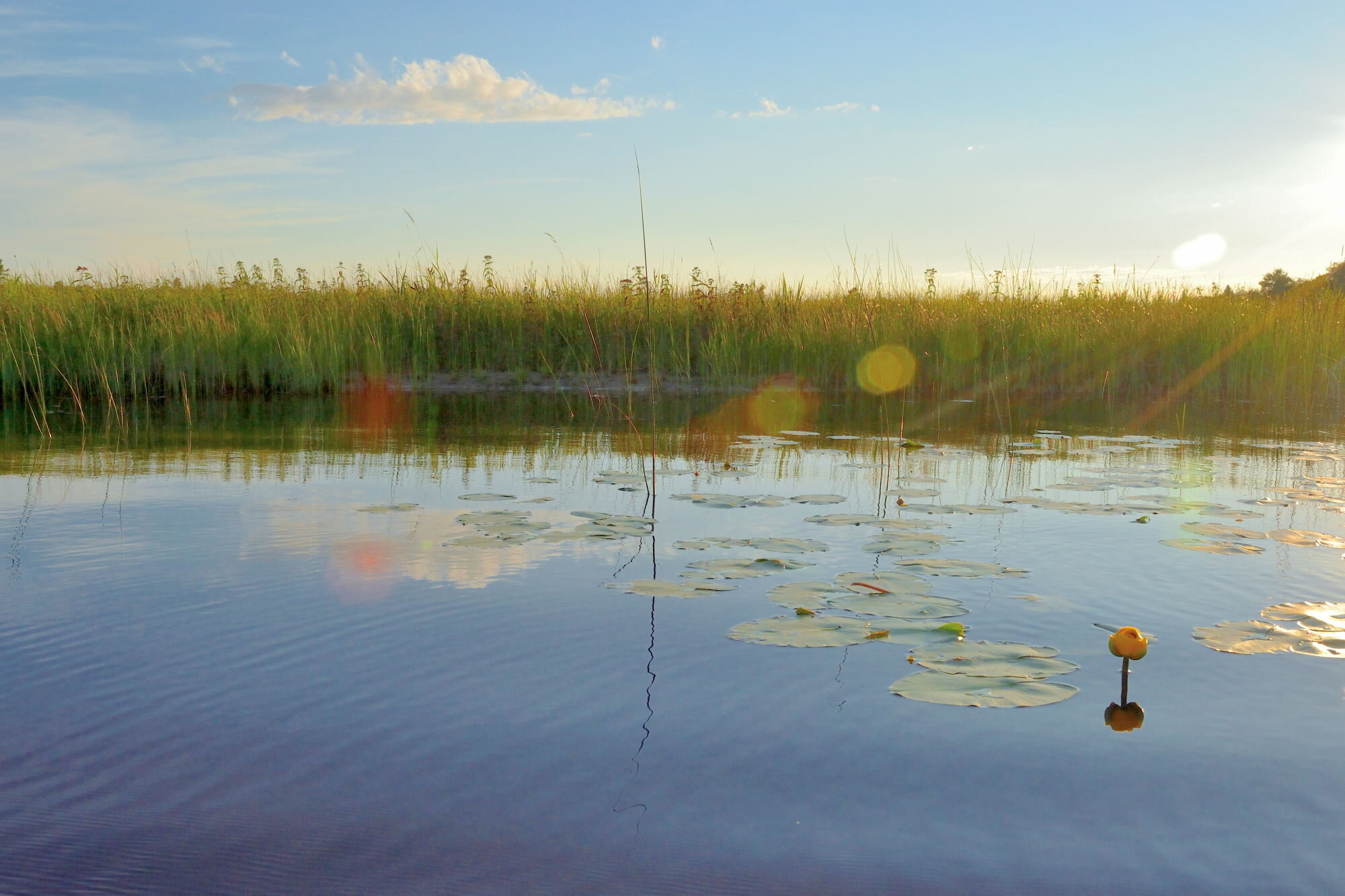 2013-WaterPlant_5_003edit_1webres.JPG