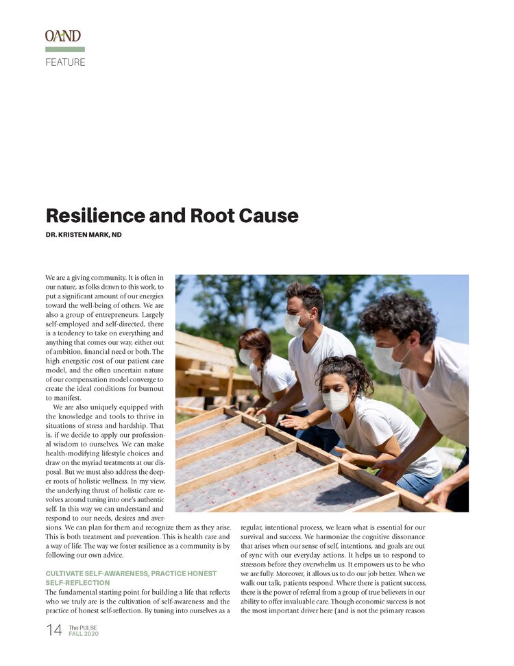 Resilience and Root Cause_Dr. Kristen Mark ND_Fall 2020 Pulse_first page image.jpg