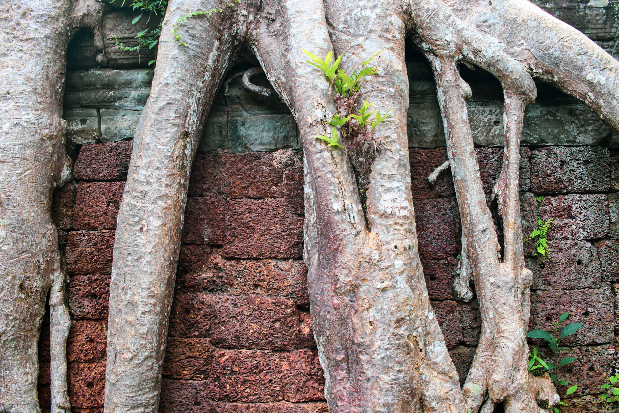 Resilience and Root Cause