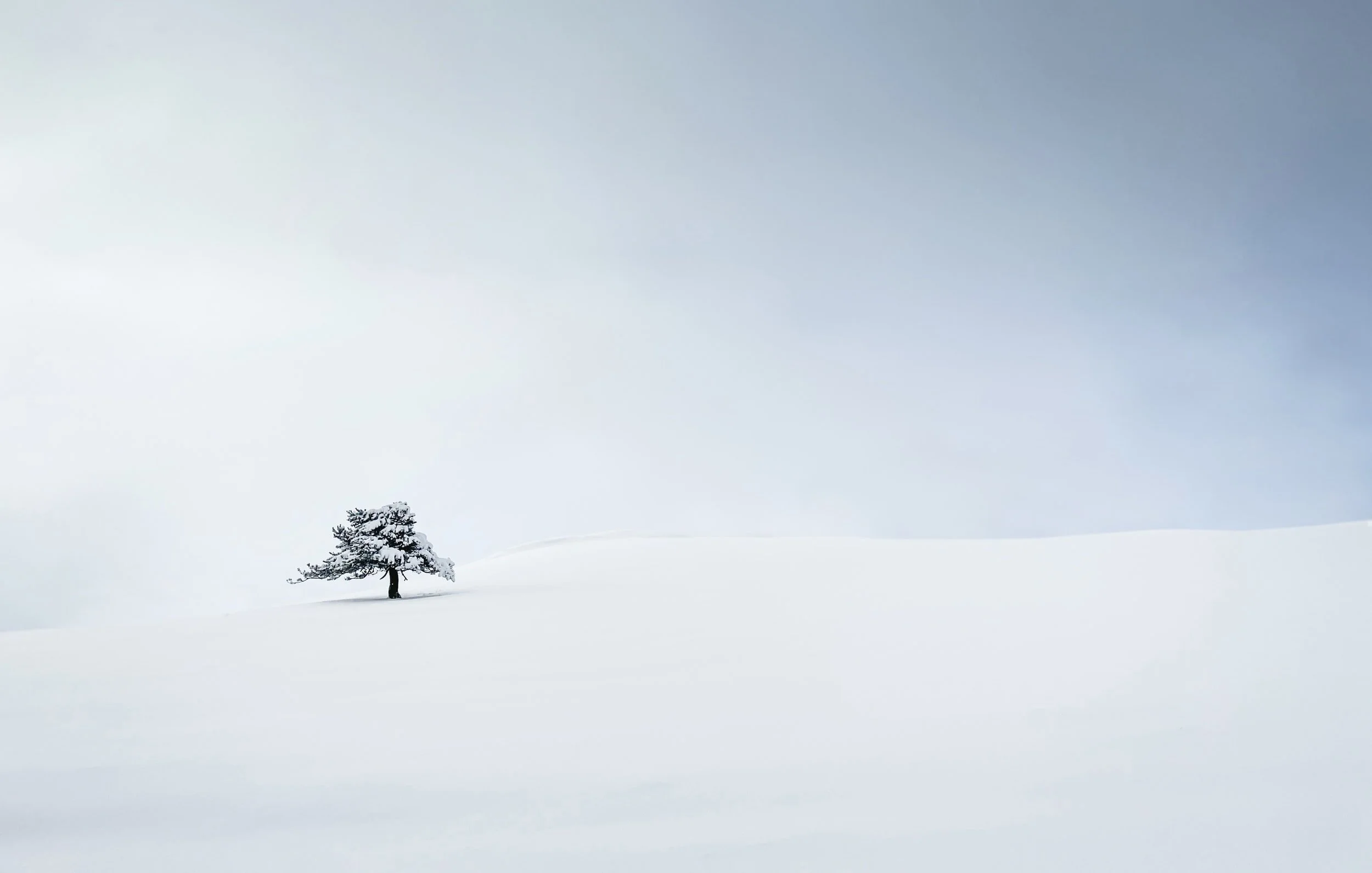 A New Year, Renewed Challenges