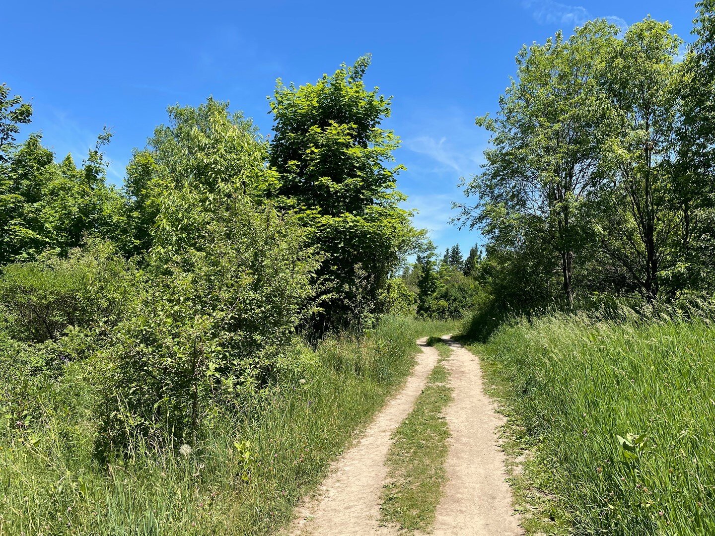 Feeling #stressed? #Overwhelmed? #Tired and #wired? Driven to go-go-go?

It might be time to hit the (dirt) road and get into some #greenspace. Being surrounded by #nature has incredible soothing effects on our nervous system, can improve mood and ou