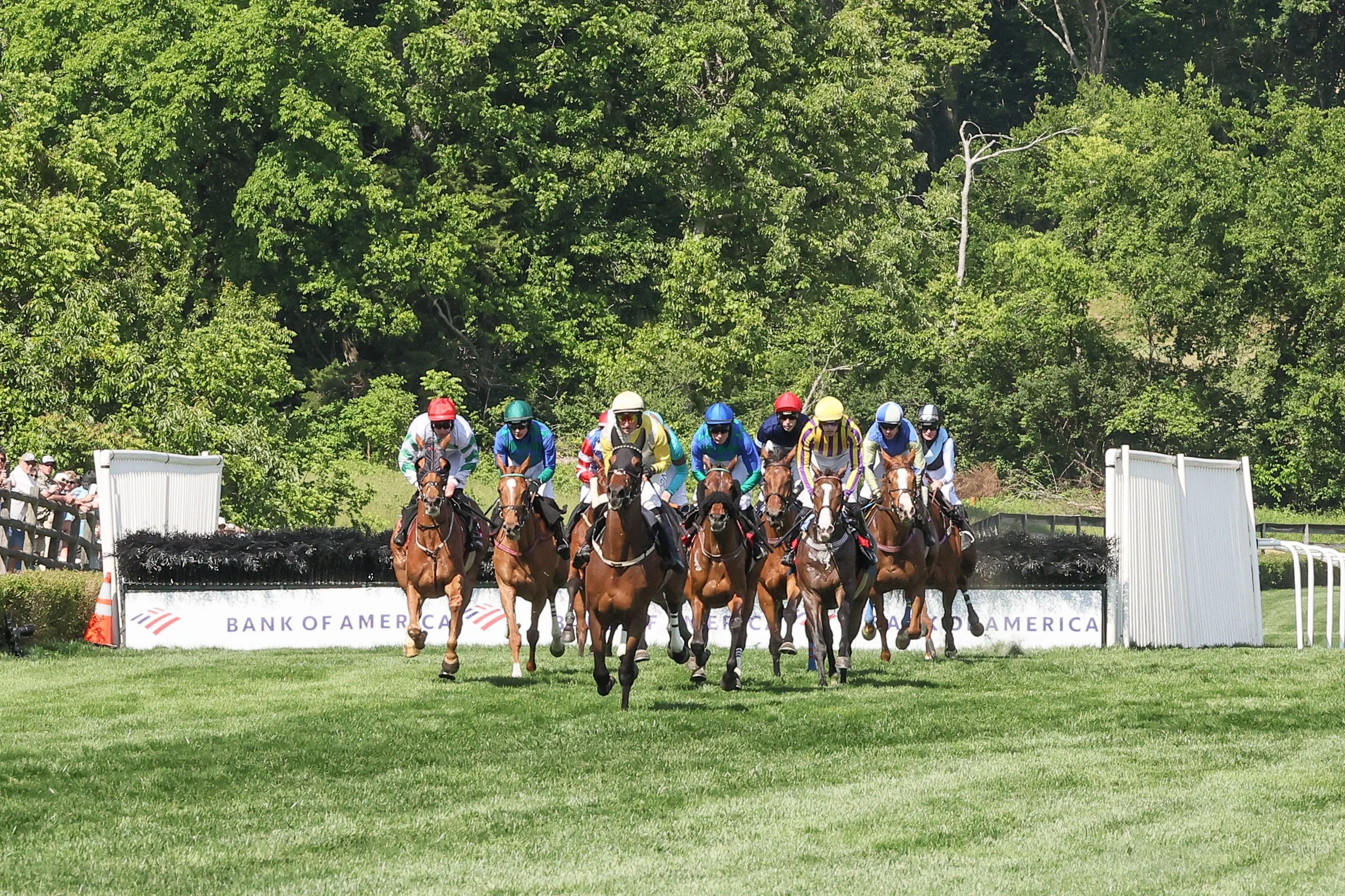 Iroquois Steeplechase