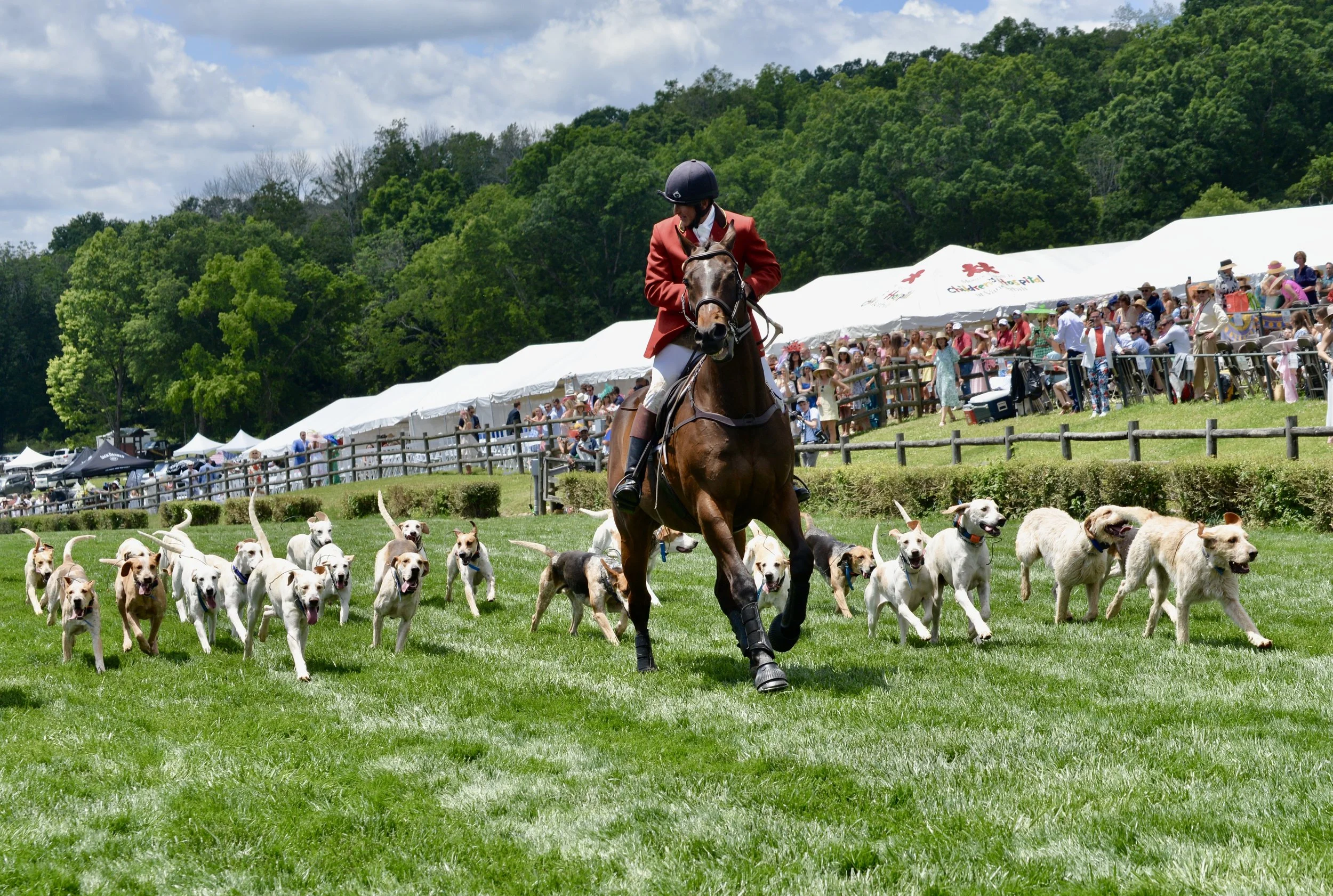 Iroquois Steeplechase