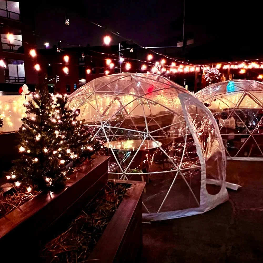 Private Snow Globe Dining In Lakeview!