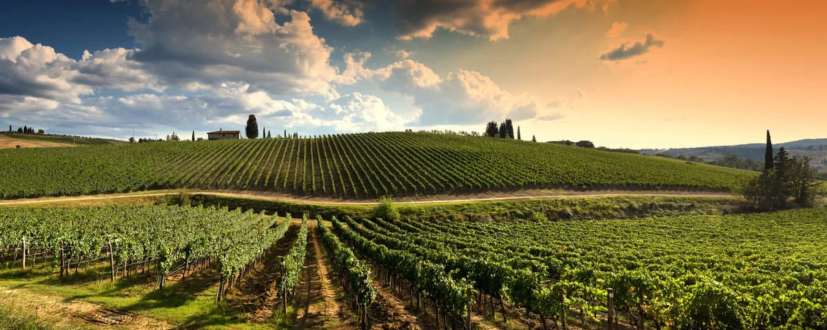 Exploring Italian Wine Regions: A Guide for Enthusiasts