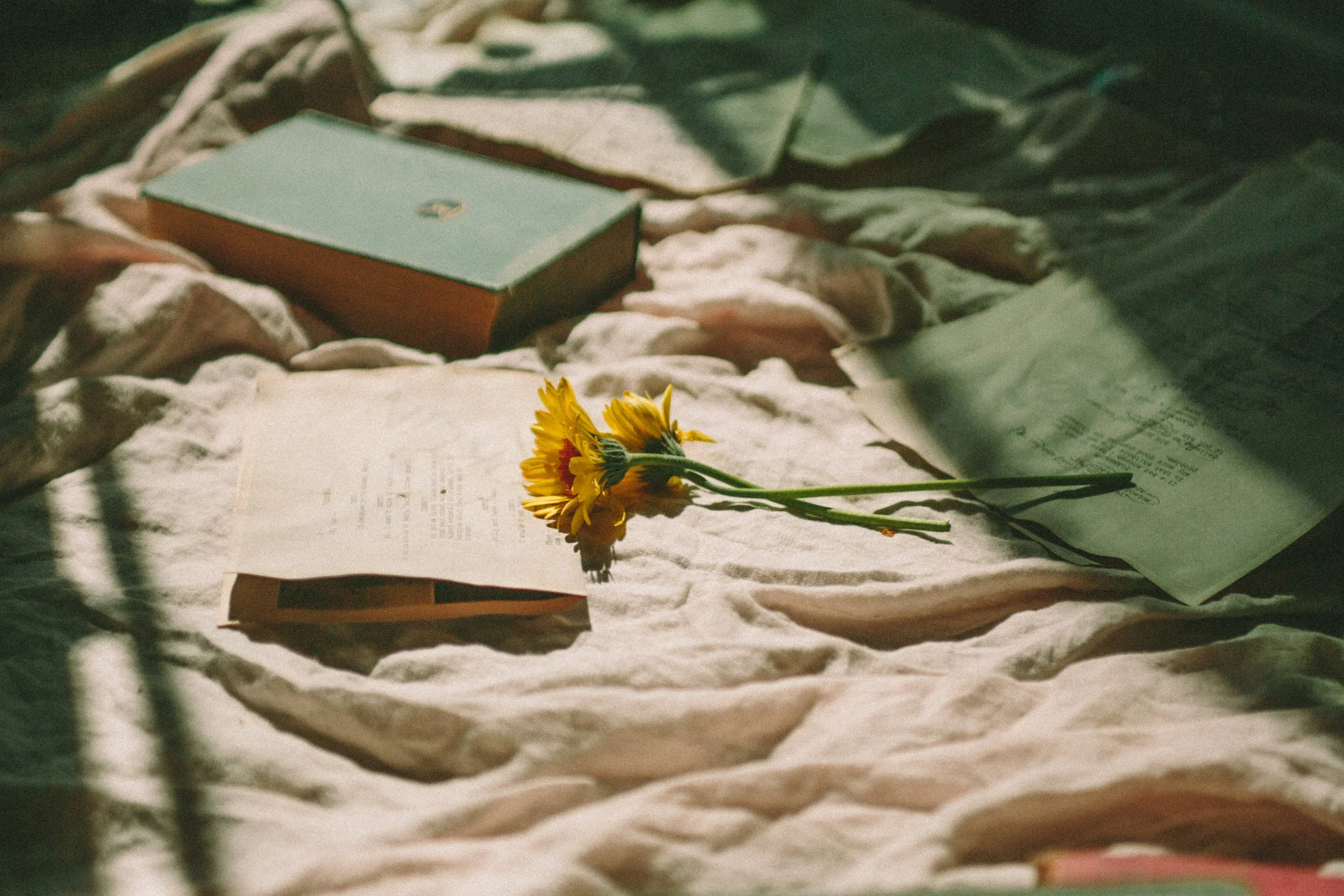 YOU GOTTA GO SLOW TO GO FAST