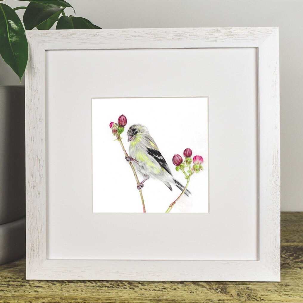 Gold+Finch+-+Squarespace-4.jpg