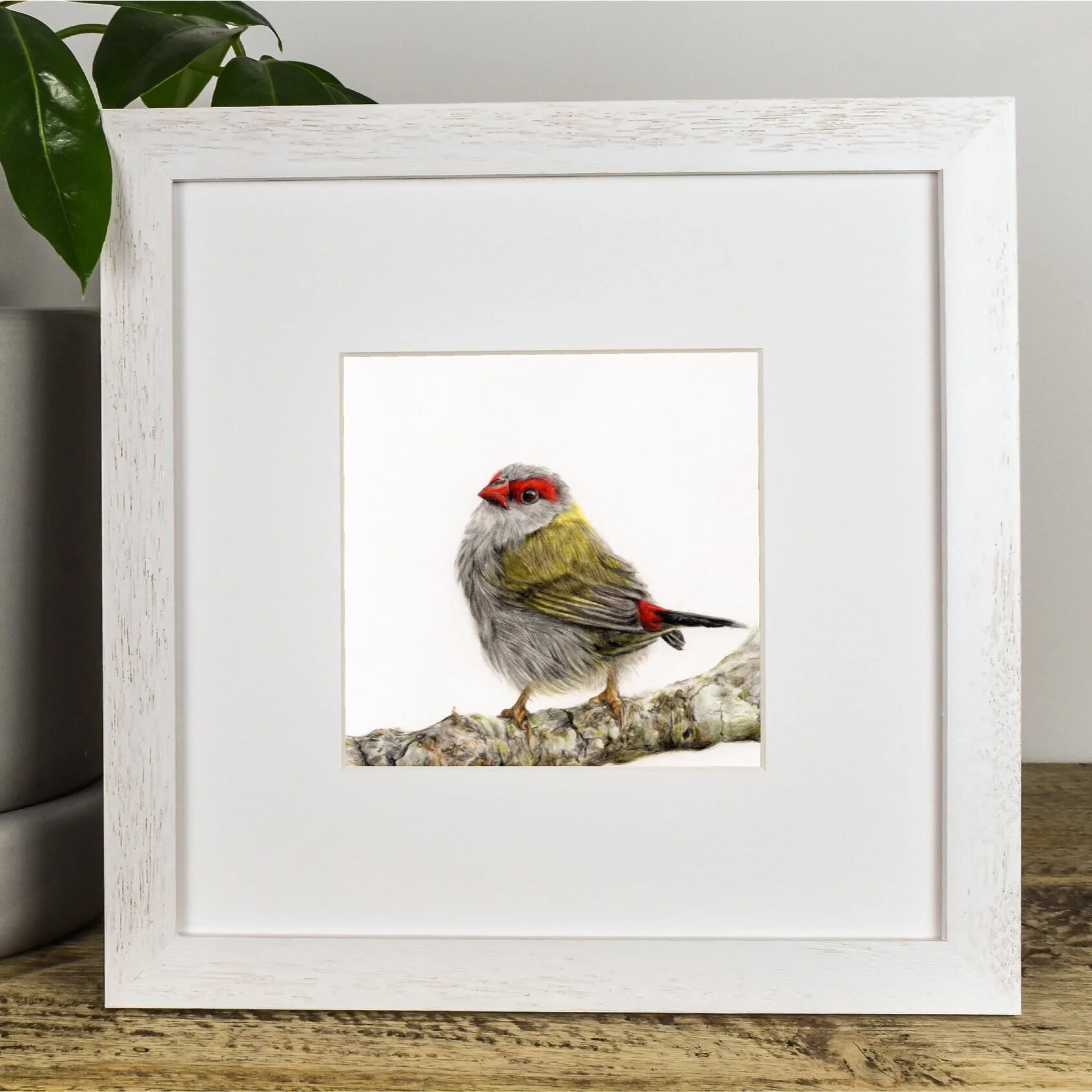 Framed+2.jpg