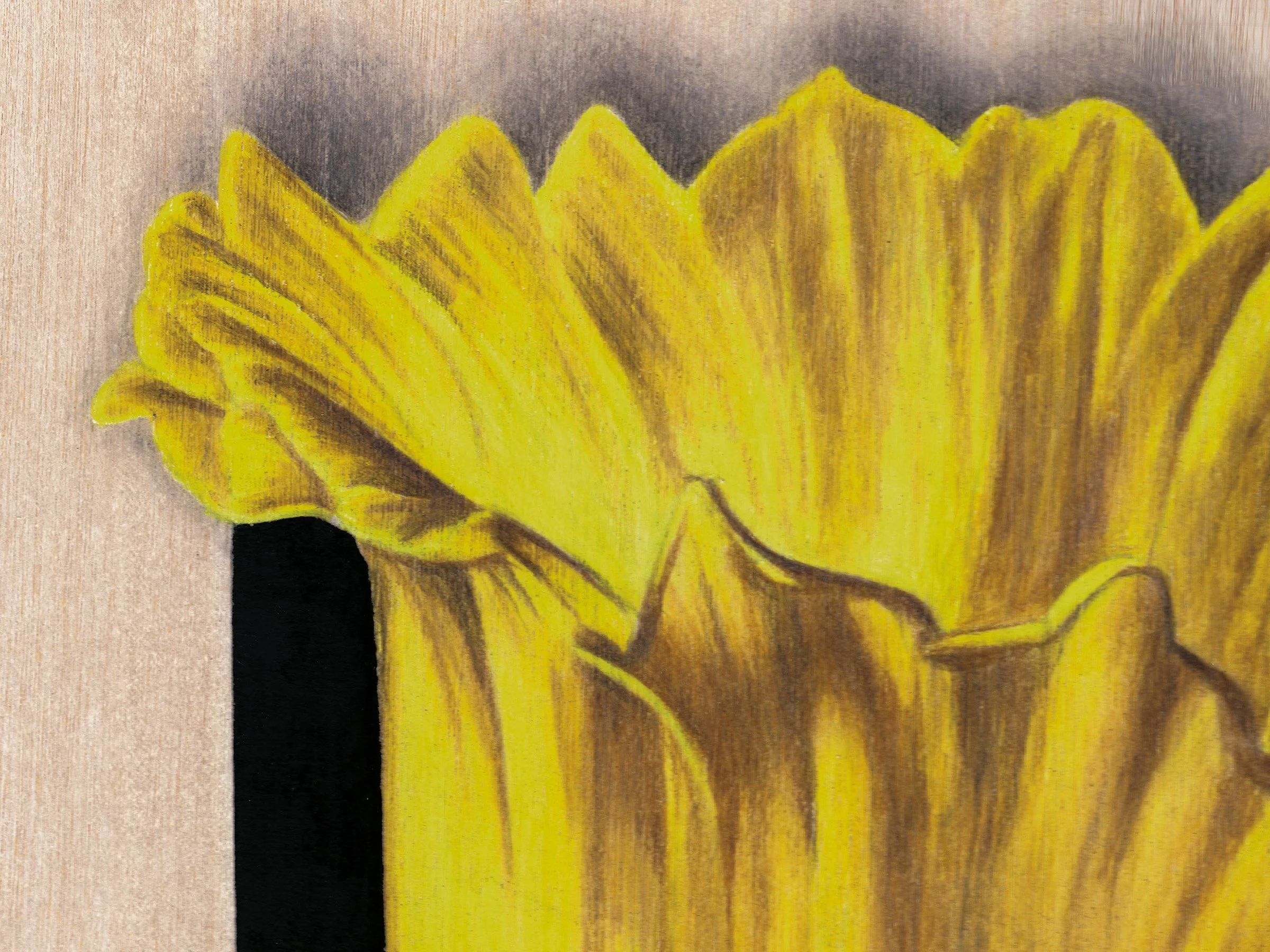 %22Perennial%22 - Daffoldil (Detail 1).jpg