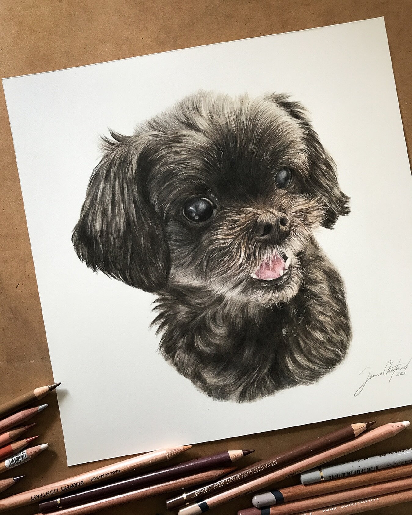 Sending huge love to Dex&rsquo;s family, as I just heard he had crossed the rainbow bridge last week 🌈 &hearts;️

 I had the absolute honour of creating Dex&rsquo;s portrait in the middle of lockdown in 2021, and what a joy he brought to my little s