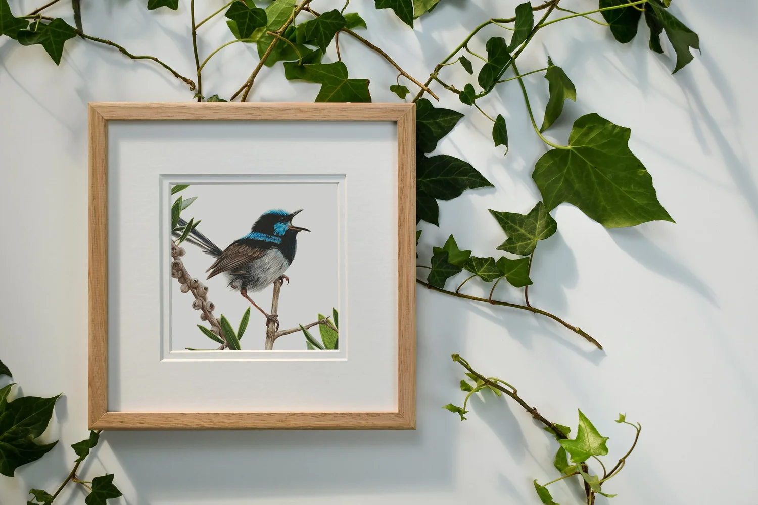 Lot De 3 Dé à Coudre En Porcelaine Peints à La Main - Oiseaux Superb Fairy Wrens - Australie