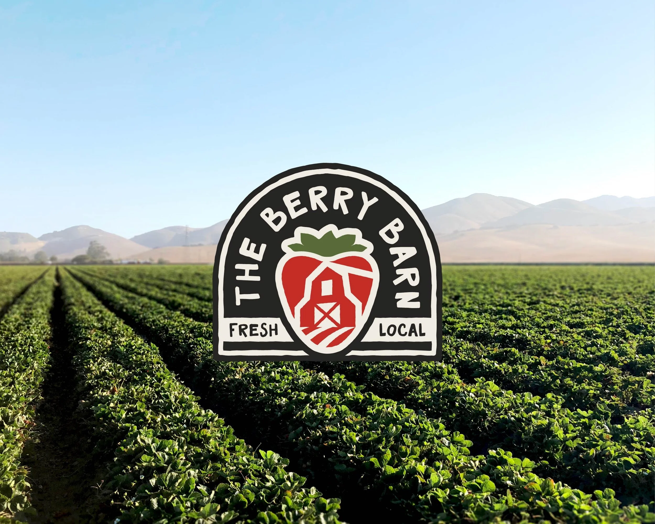 BRAND IDENTITY  |  LOGOS  |  PRINT