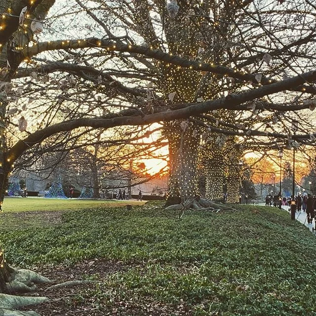 The holidays might have come and gone, but I&rsquo;m still holding on to the beautiful sunsets, lights, and natural beauty that continues to shine. Don&rsquo;t forget to look around and enjoy the splendor of winter ❄️💙⛄️
#canitbechristmasagain #hold