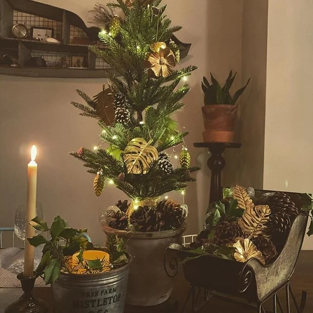 Wishing you and yours a very magical Christmas Eve 💚🌲💚
#mossandmortar #christmaseve #missletoeandholly #tistheseason #deckingthehalls #baltimore #charmcity