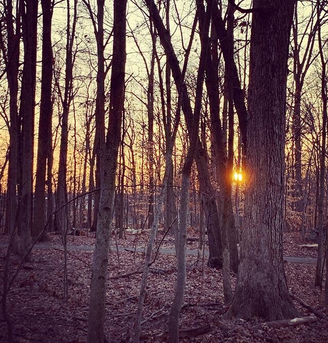 Nothing like a walk in the woods to recharge and celebrate the beginning of winter 💙🌲❄️⛄️
#winter #walkinginawinterwonderland #christmas #walkinthewoods #mossandmortar #nature #sundayfunday
