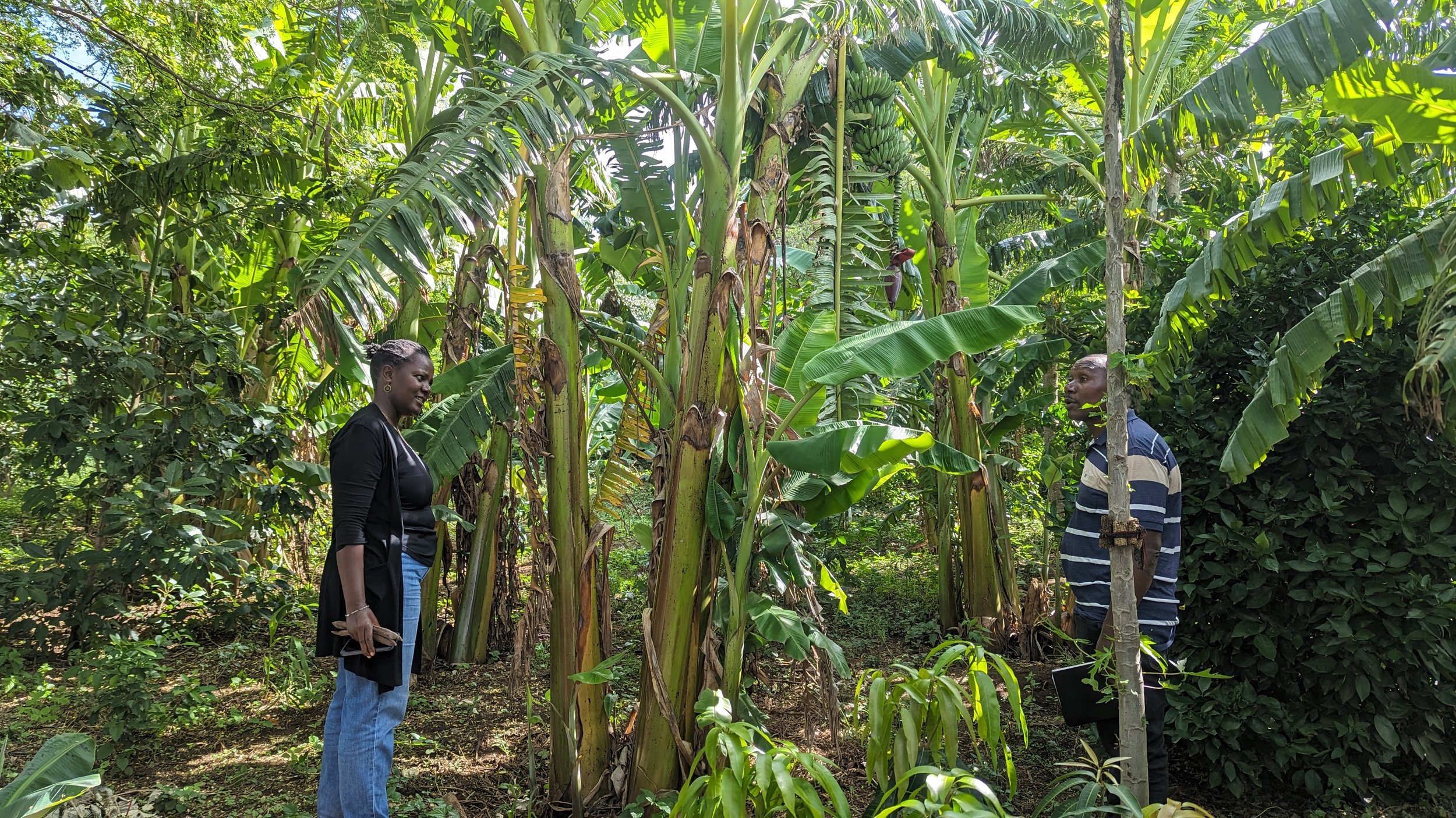 Mary showing off her farm in Lendikinya village.