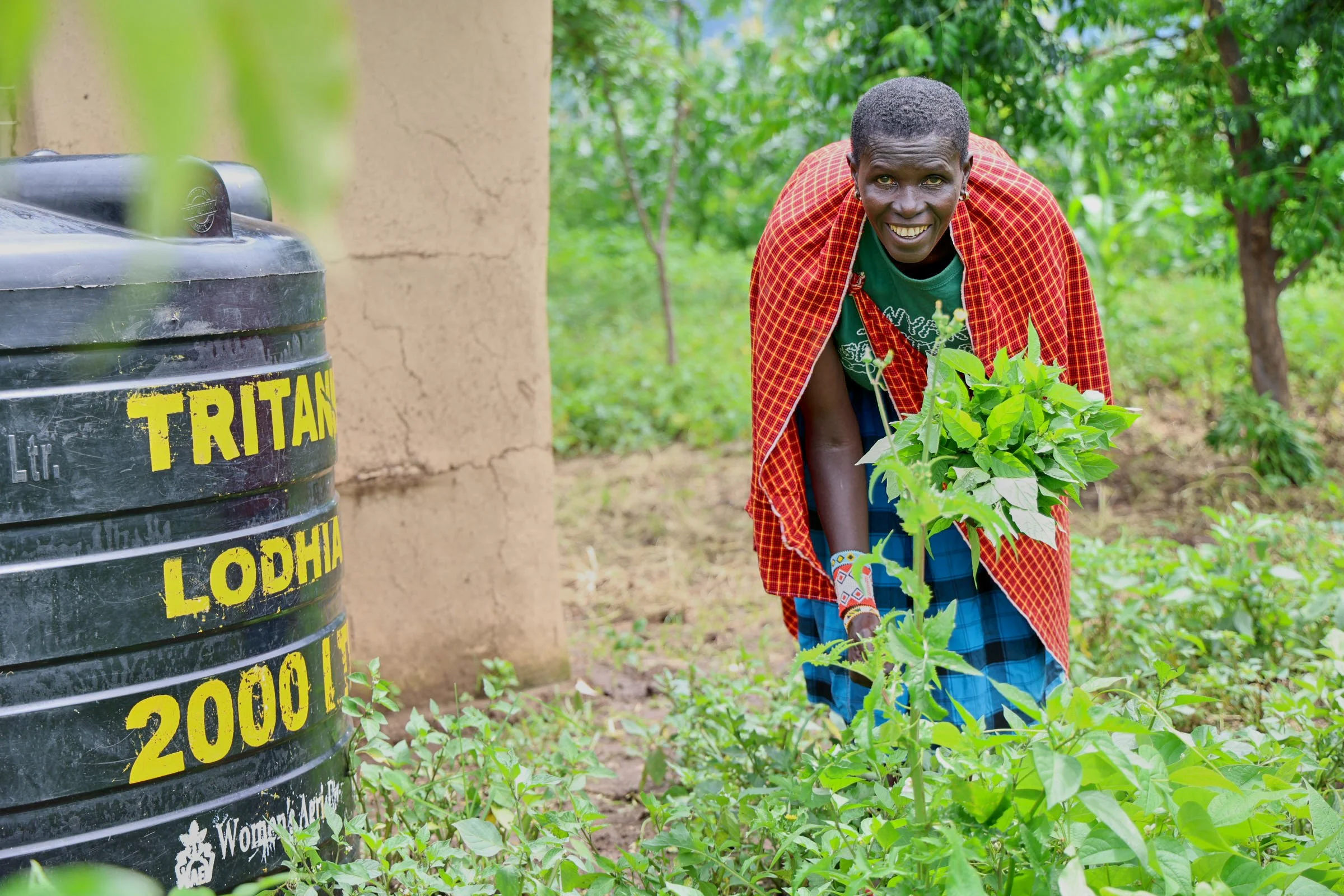 Stella Nasira transformed her previously unproductive land into a thriving forest garden, integrating trees with other crops. She now produces vegetables for sale and has expanded into small-scale poultry farming.