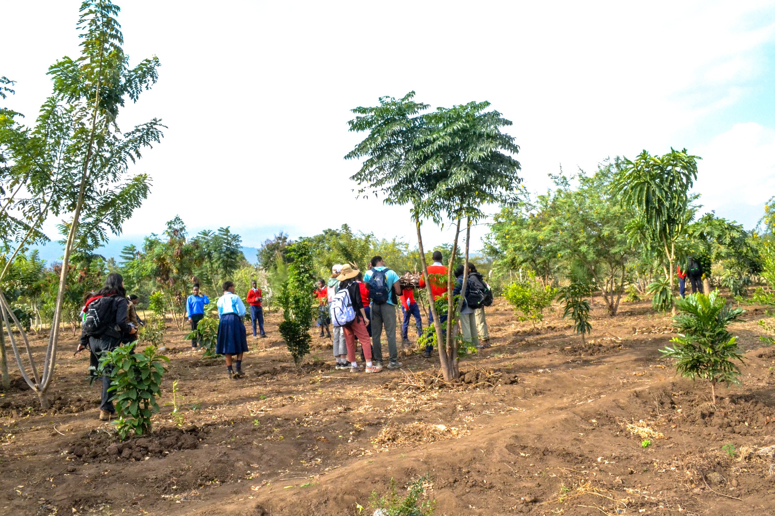 A school group visits a tree planting site.
