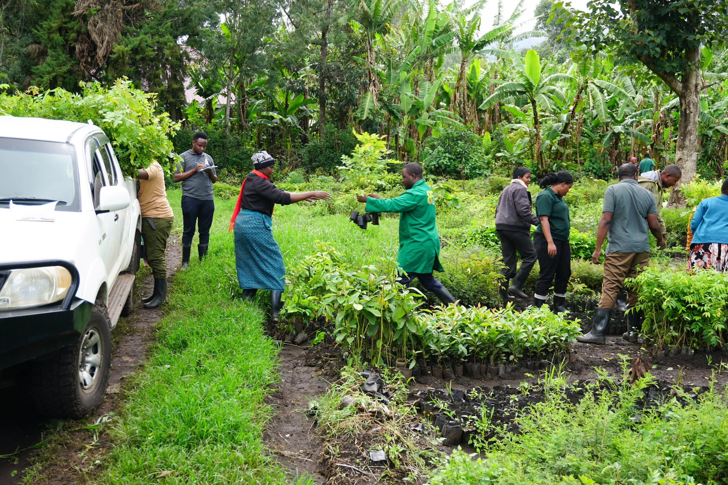 Delivering trees to our women's groups.
