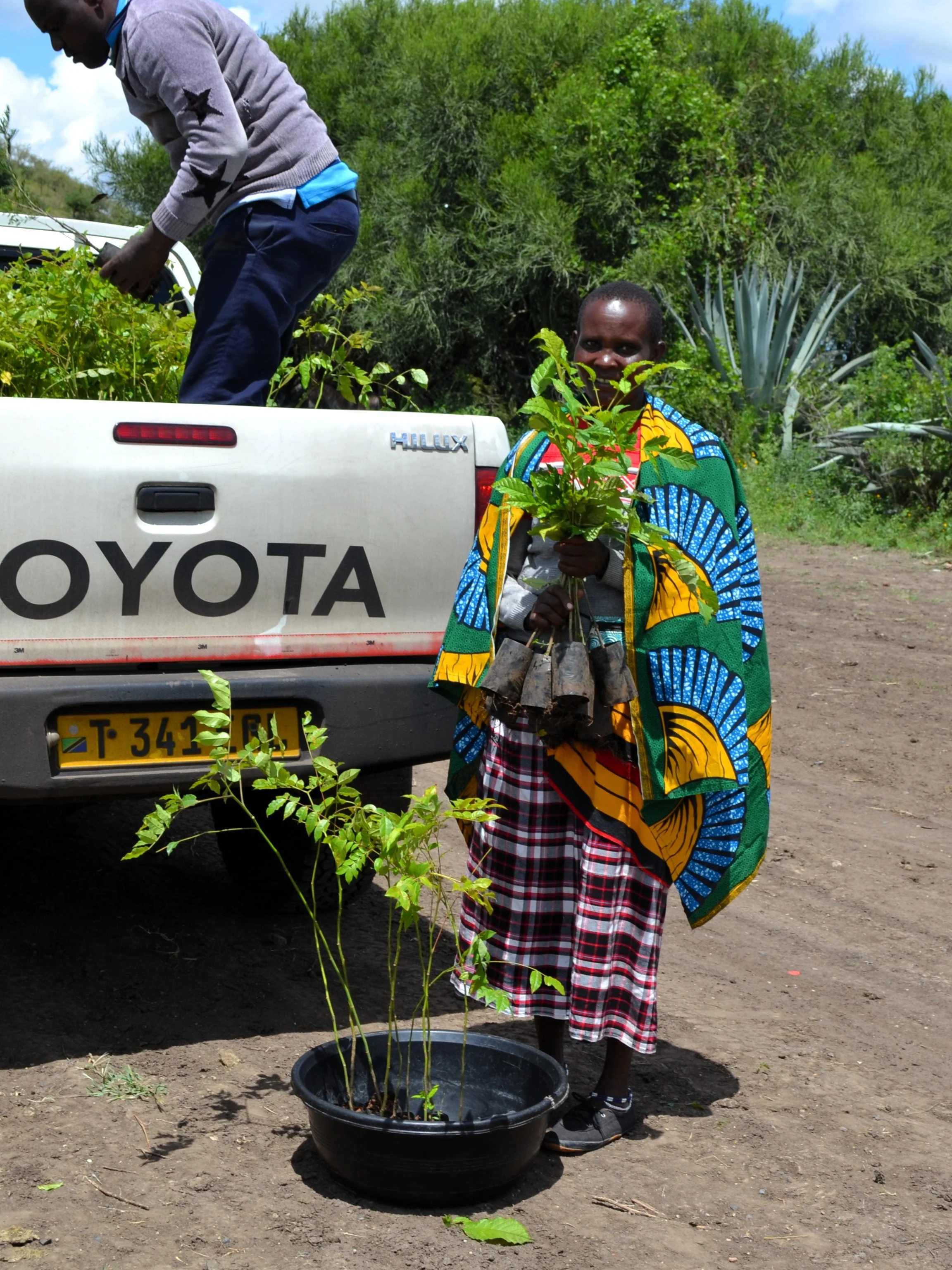 A woman receiving tree saplings.