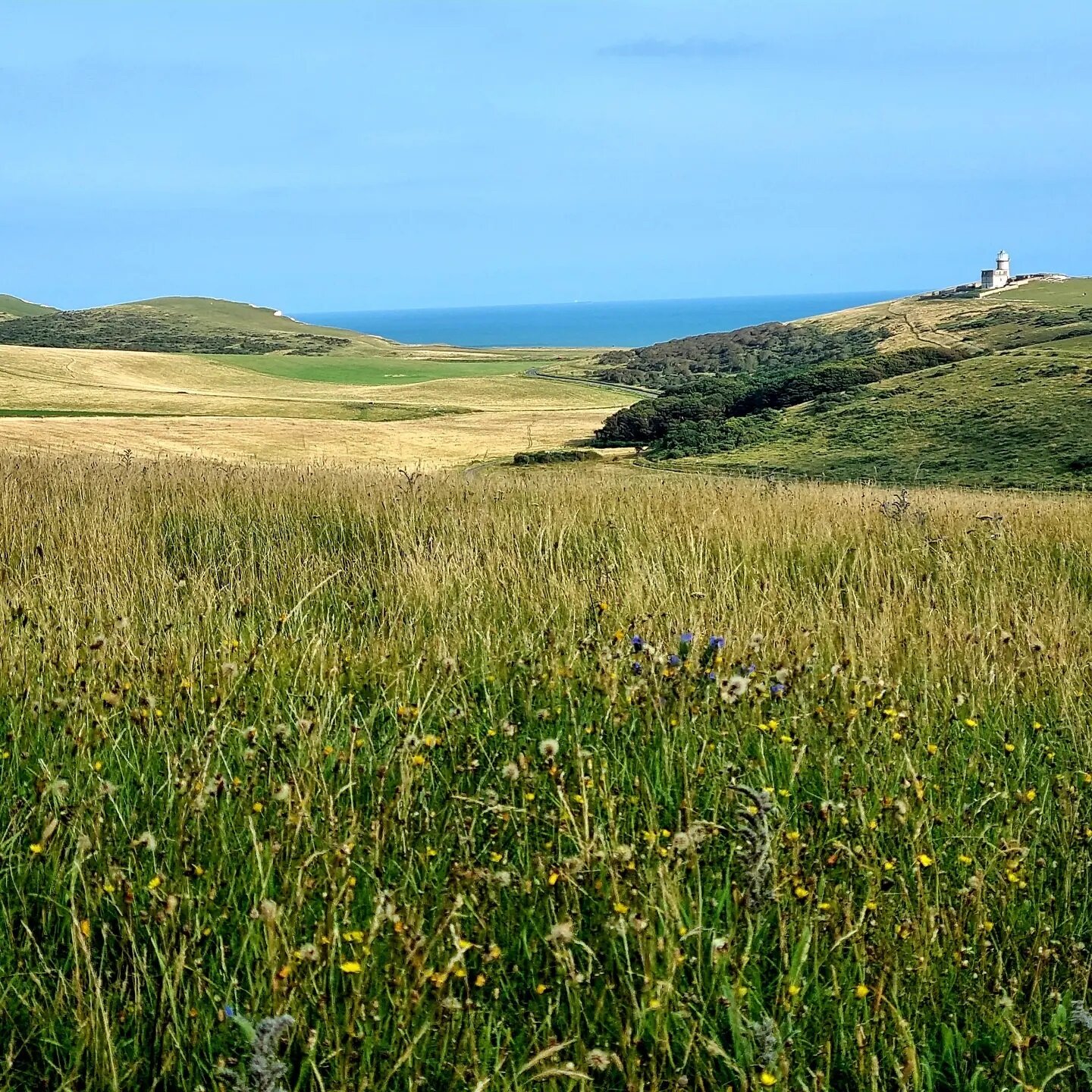 Belle Tout Lighthous is Just a short walk from #Seaford across the #sevensisters towards Burling Gap, photo says it all, stunning.