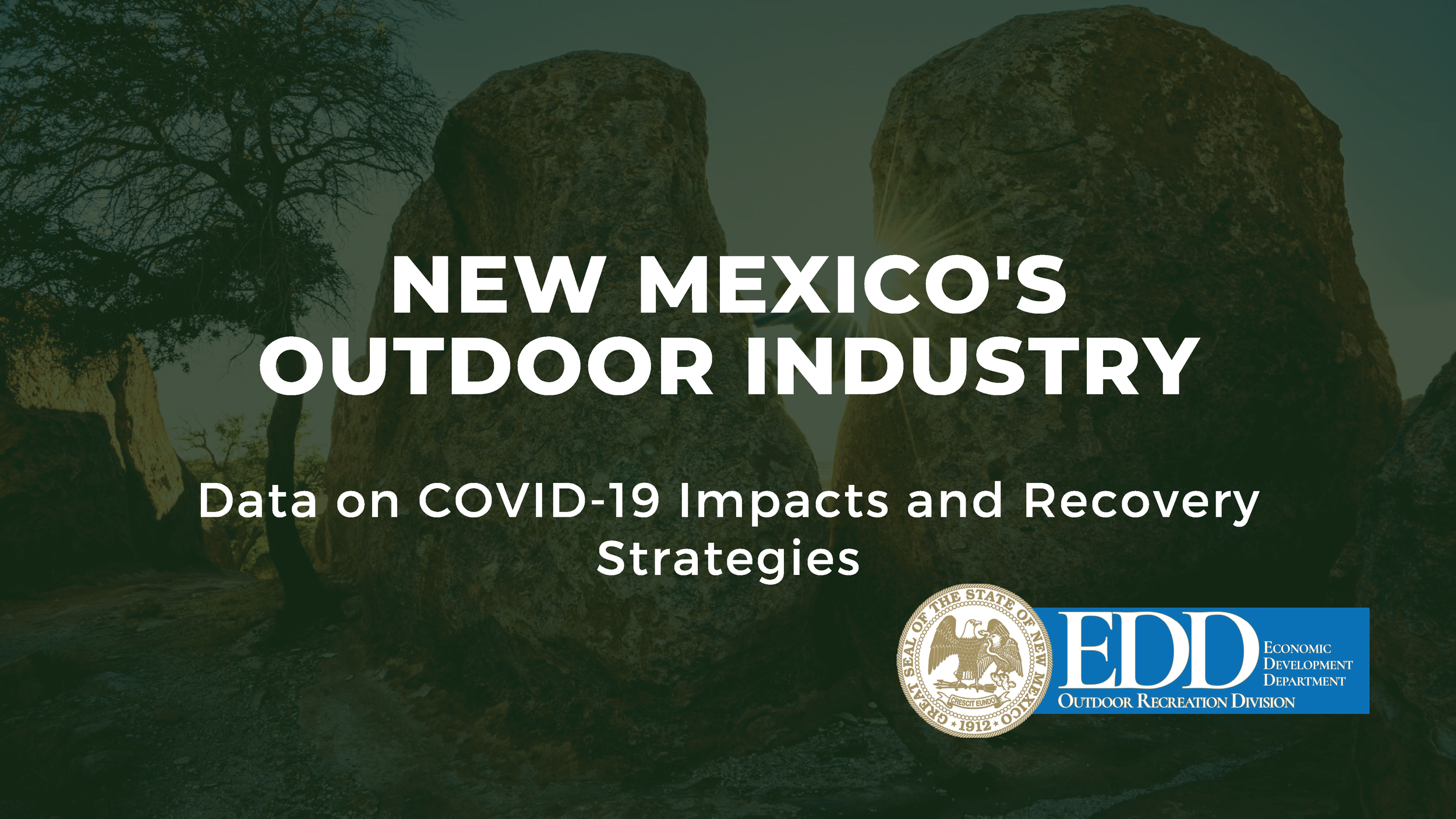 Over 90% of respondents have lost revenue due to the COVID-19 health crisis.