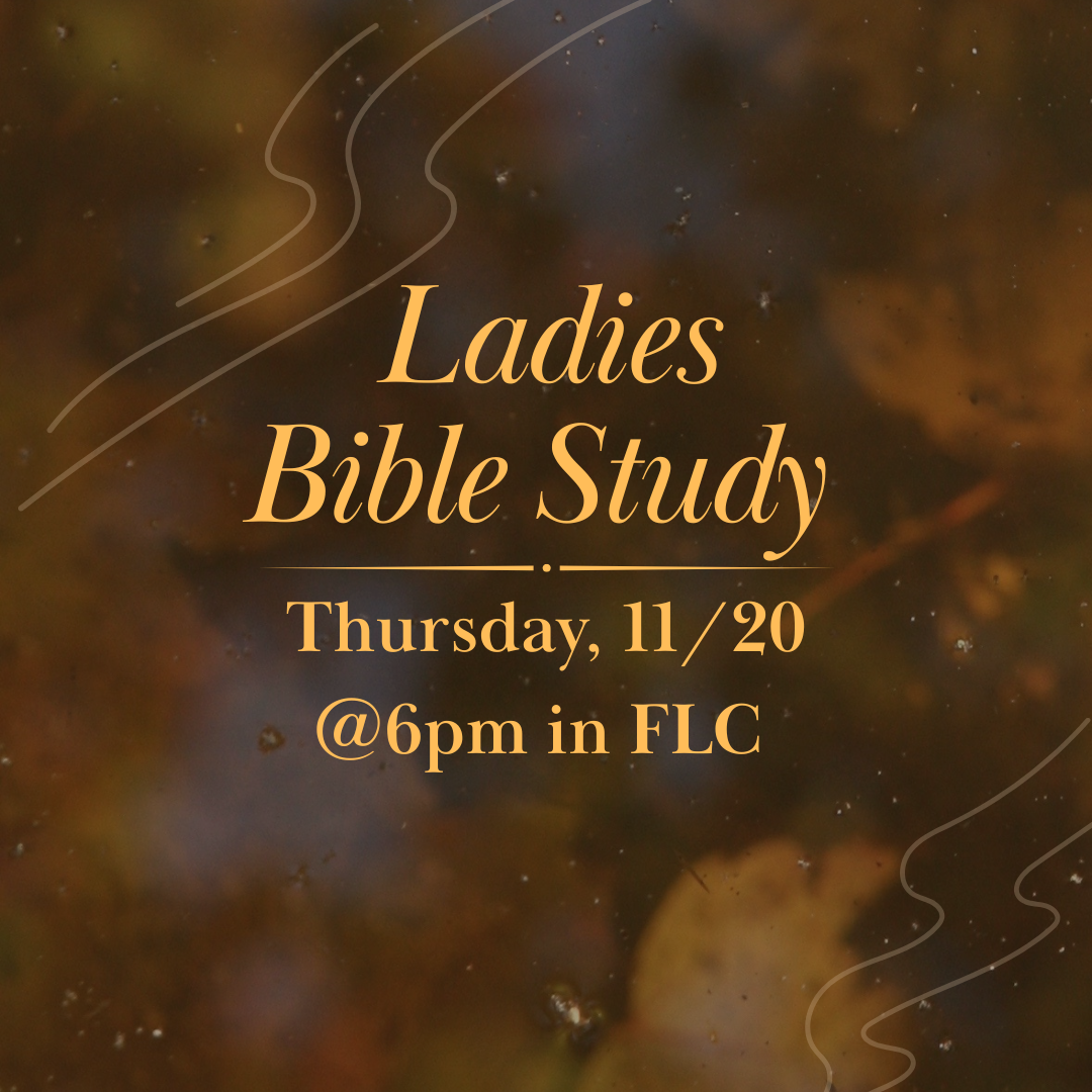 Ladies Bible Study.png.PNG