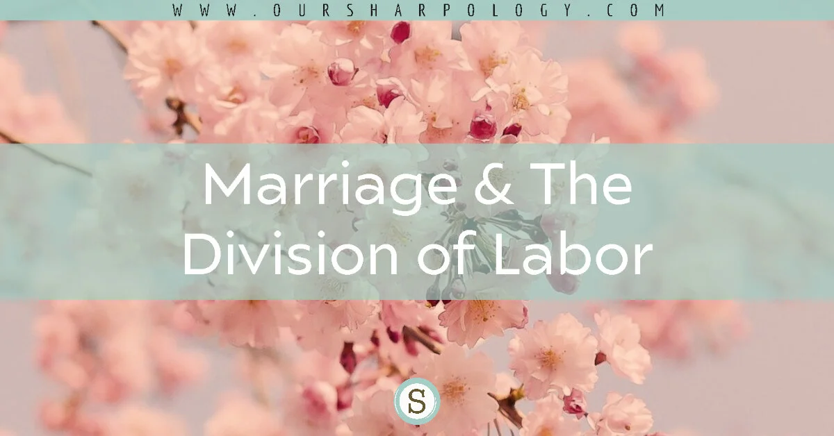 Marriage &amp; The Division of Labor