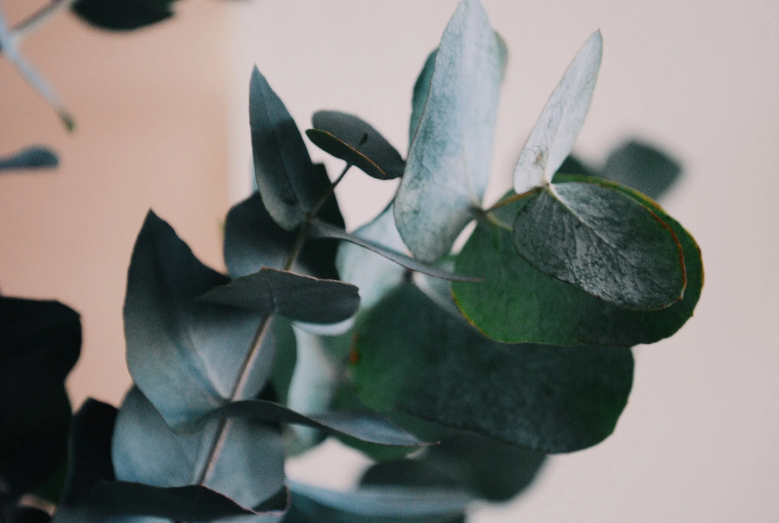 unsplash-image-5SkyPC3pixU.jpg