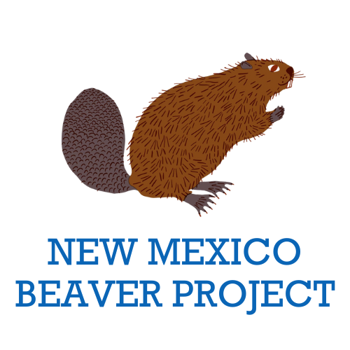 NEW MEXICO NEEDS MORE BEAVERS copy.png