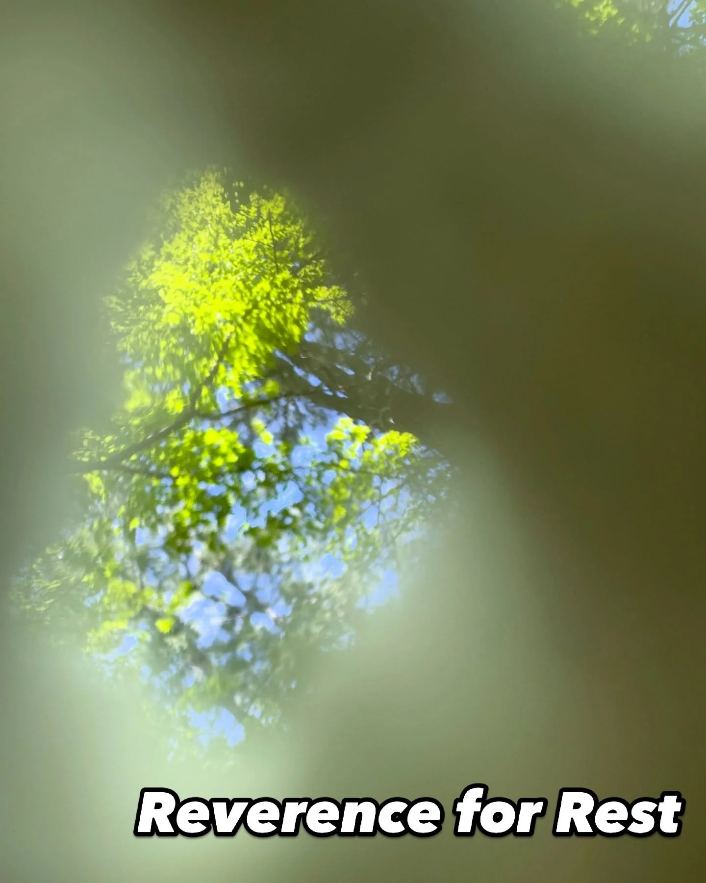I was bold! 

Rest is how the body returns to coherence.
Not just through sleep&mdash;but by slowing down enough to feel safe in ourselves again. 

On Mother&rsquo;s Day, I laid out on the swing, wrapped in a blanket my mom knit years ago. Sunlight f