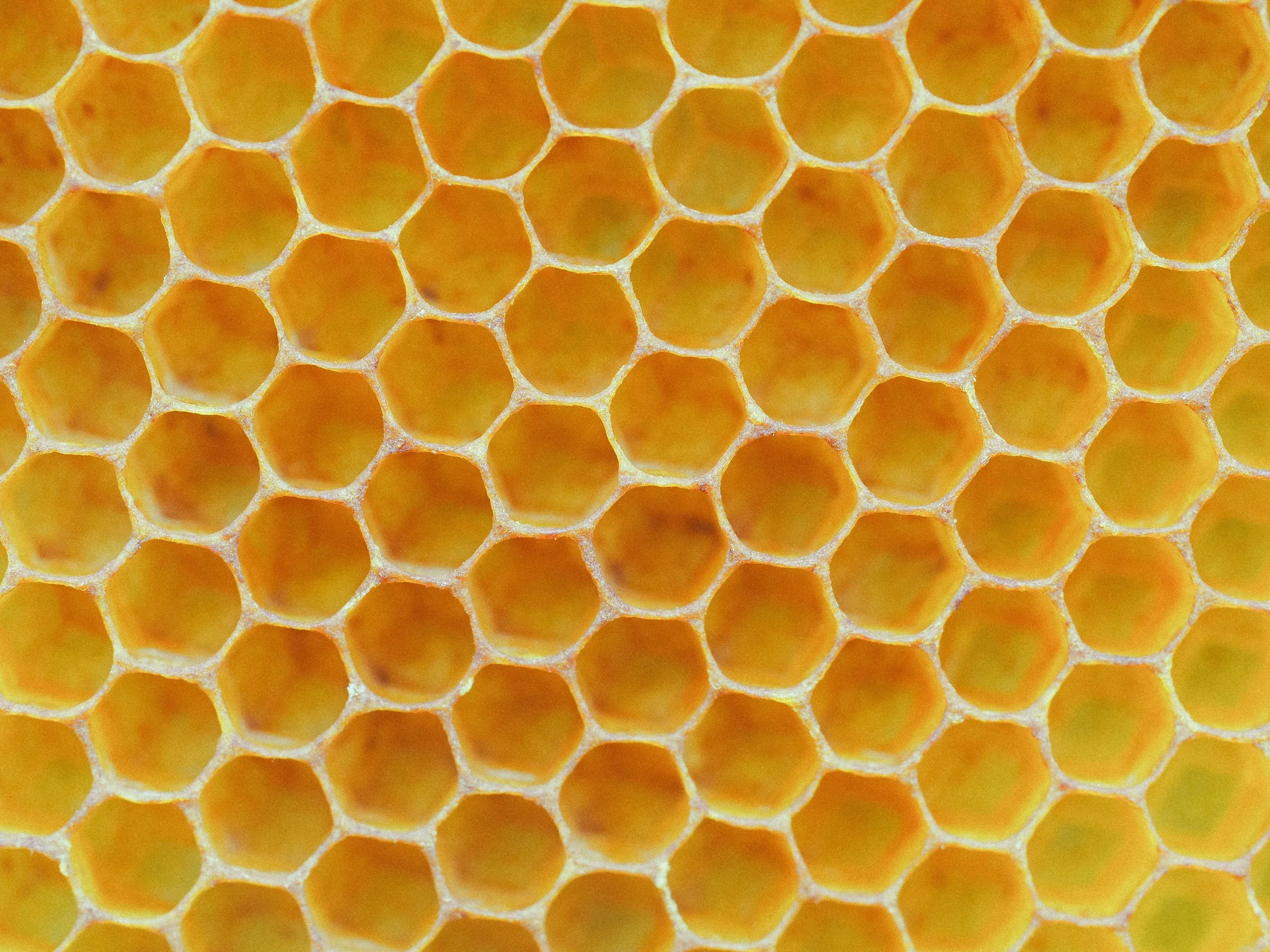 Close-up of a honeycomb with hexagonal cells, some of which are filled with honey.
