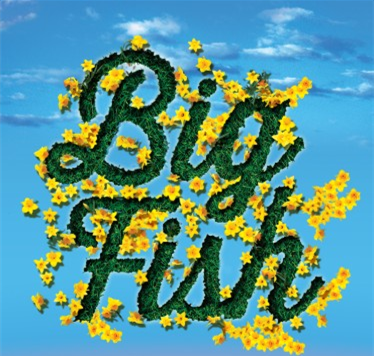 Big Fish: Coming Soon!