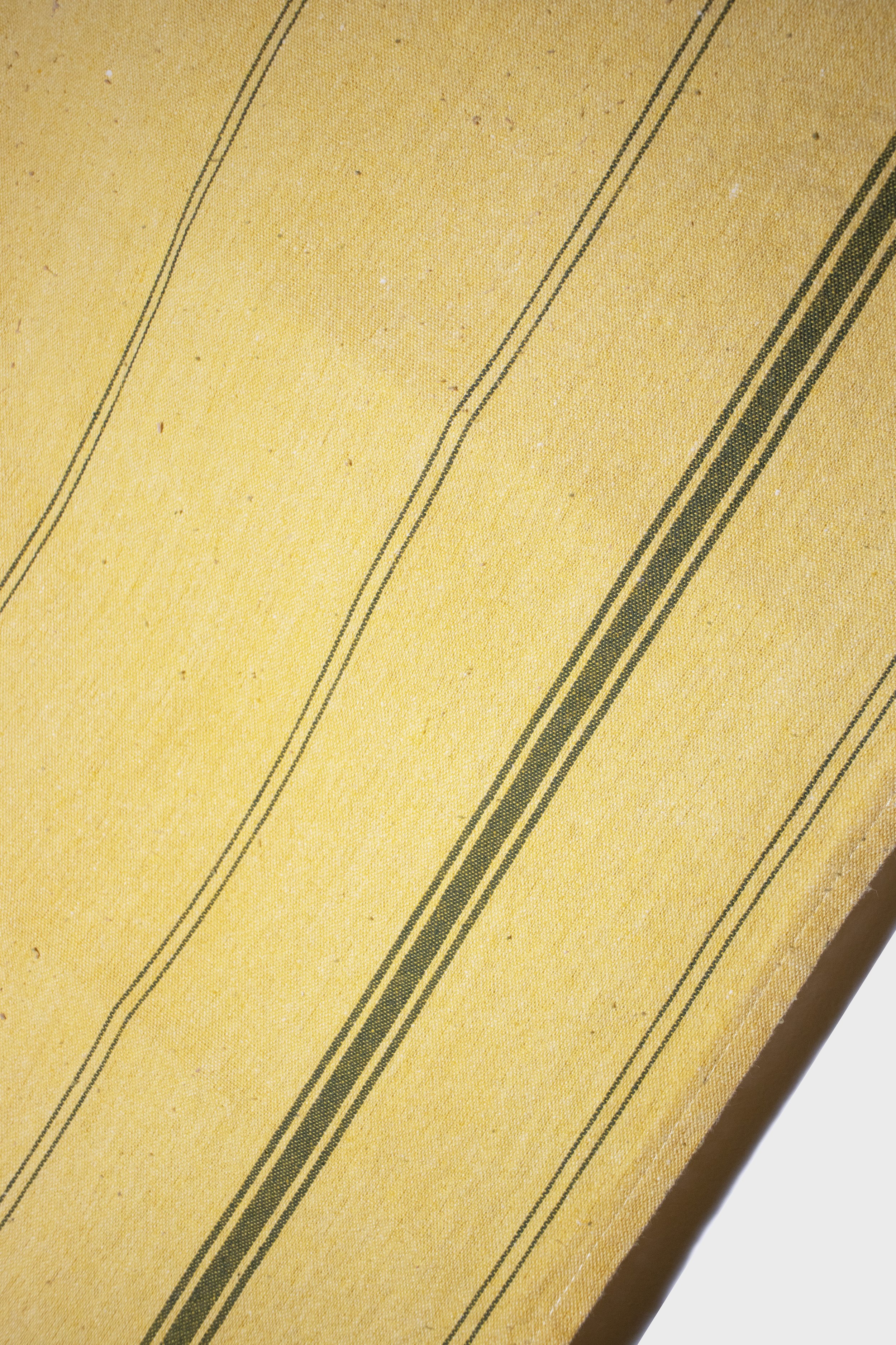 yellow 3.jpg