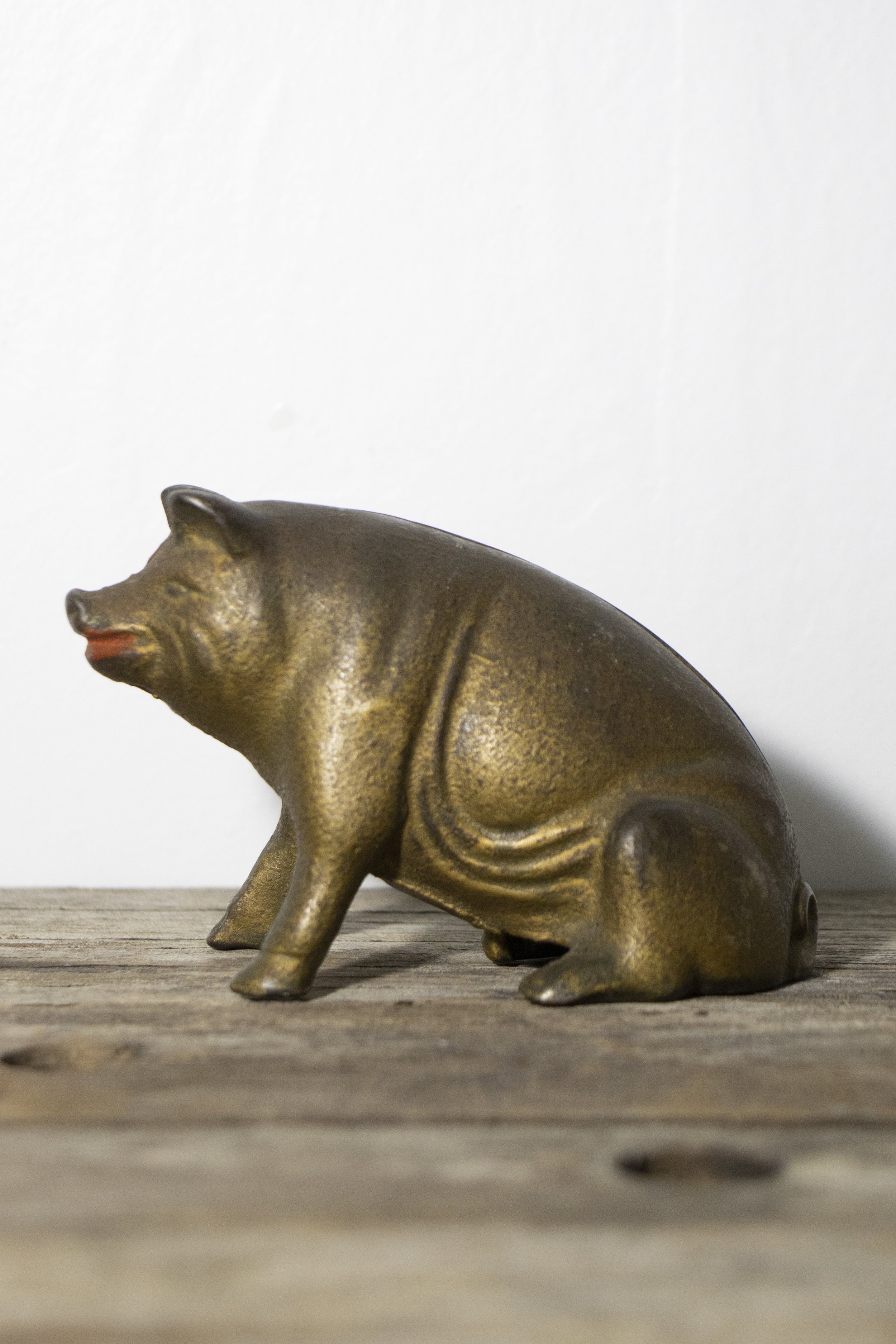 piggy 2.jpg