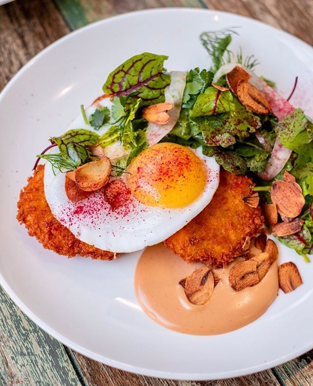 Did you know? Duck eggs are higher in protein than chicken eggs! 🍳 Get your fix with our Peking DUCK CROQUETTES with fried duck egg, fresh fennel and herb salad, sweet Worcestershire Aioli and crispy garlic chips. Available at #FirestoneHornsby⁠
⁠
⁠